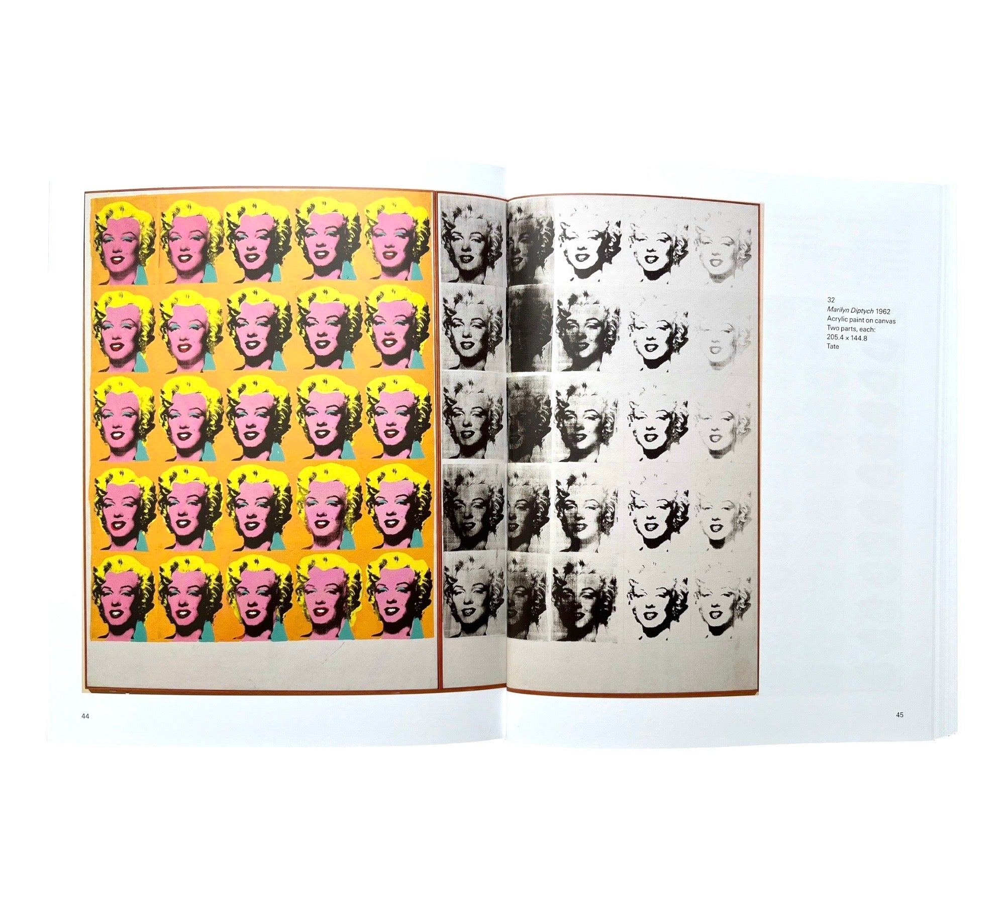 Andy Warhol (Tate Introductions)