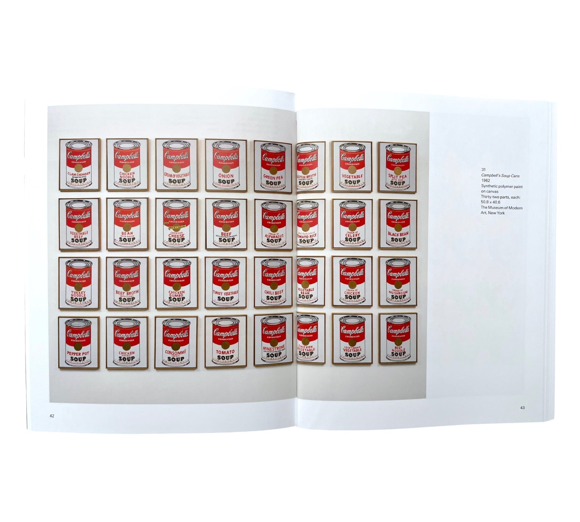 Andy Warhol (Tate Introductions)
