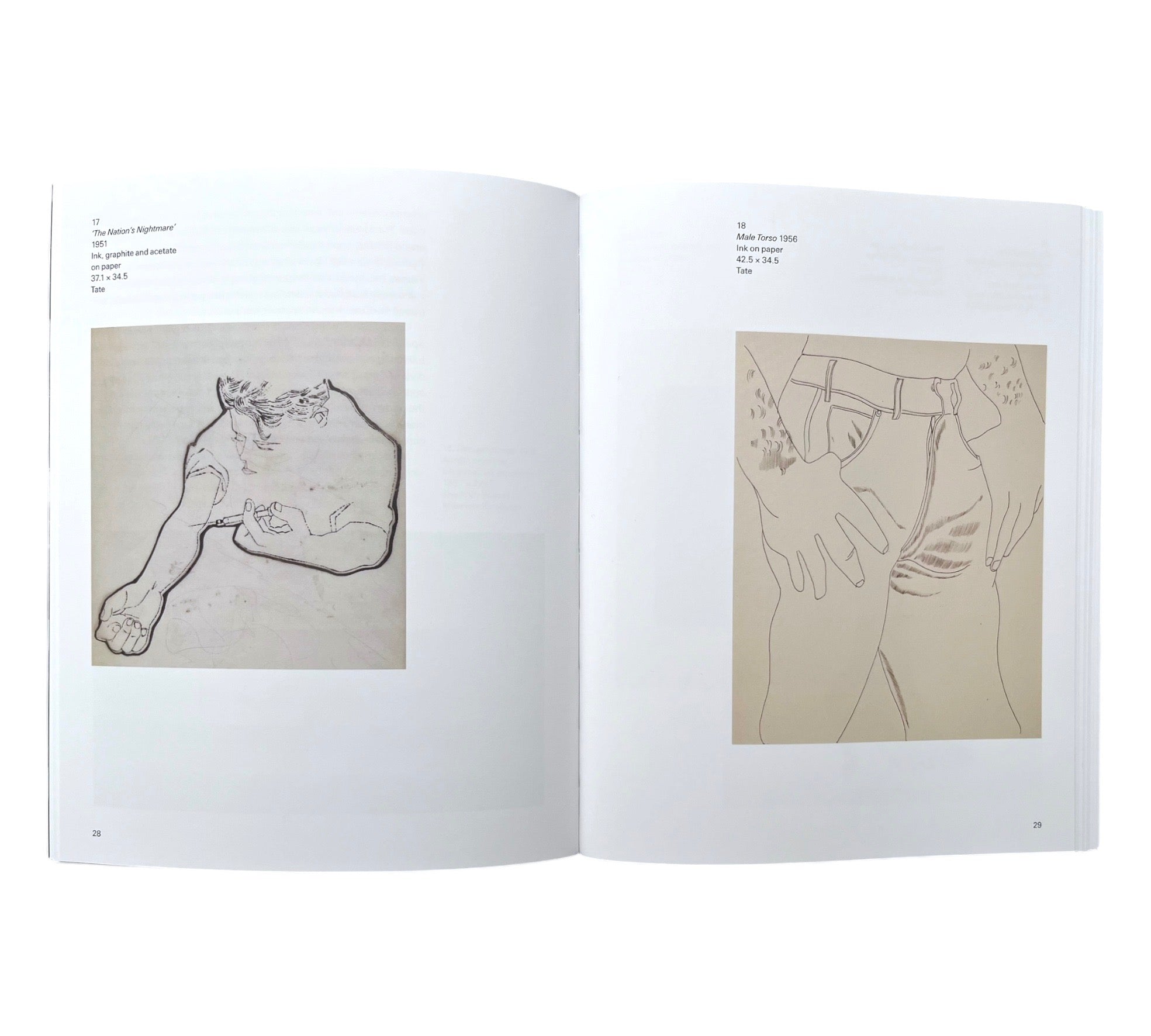 Andy Warhol (Tate Introductions)