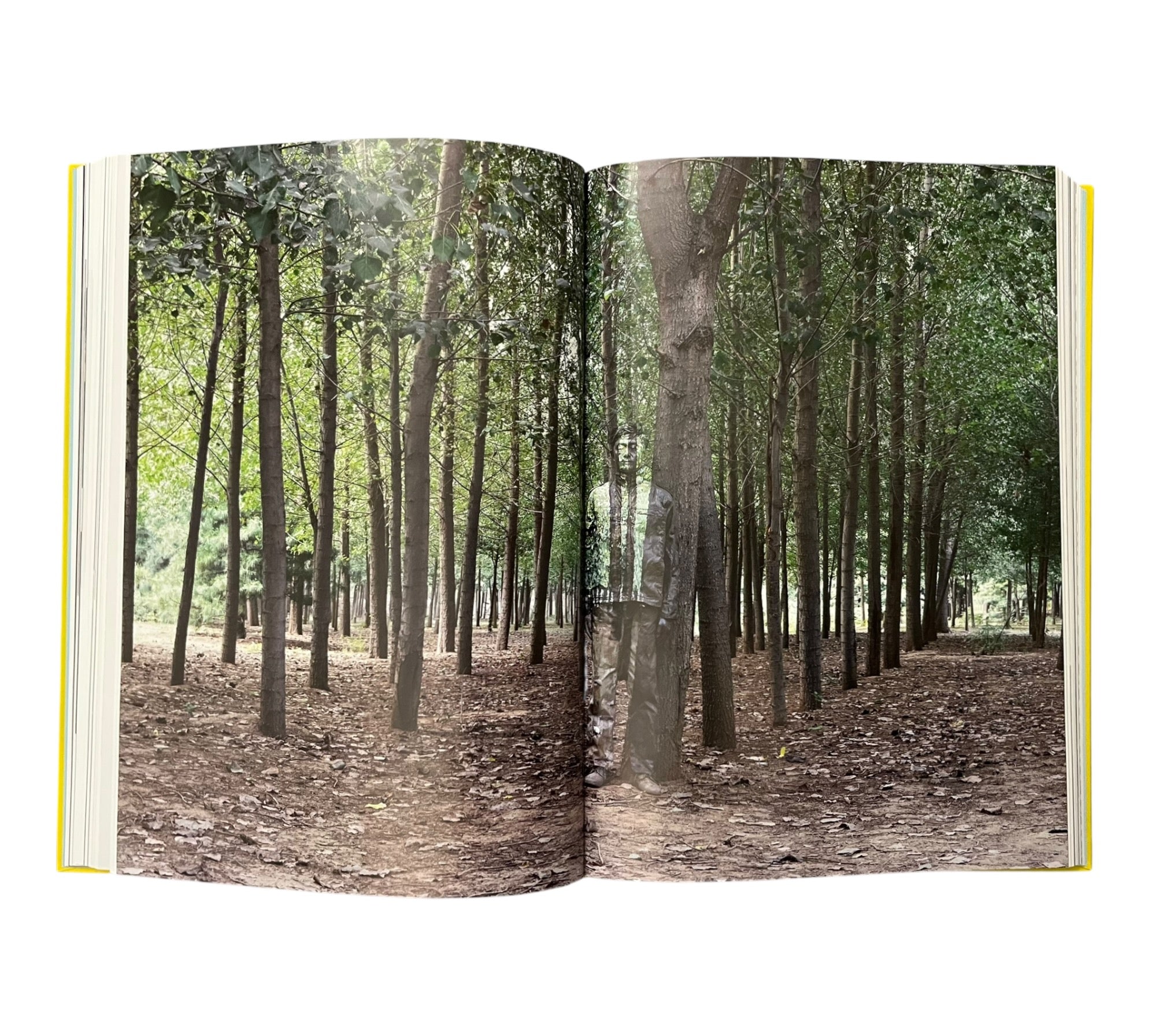 Body: The Photography Book