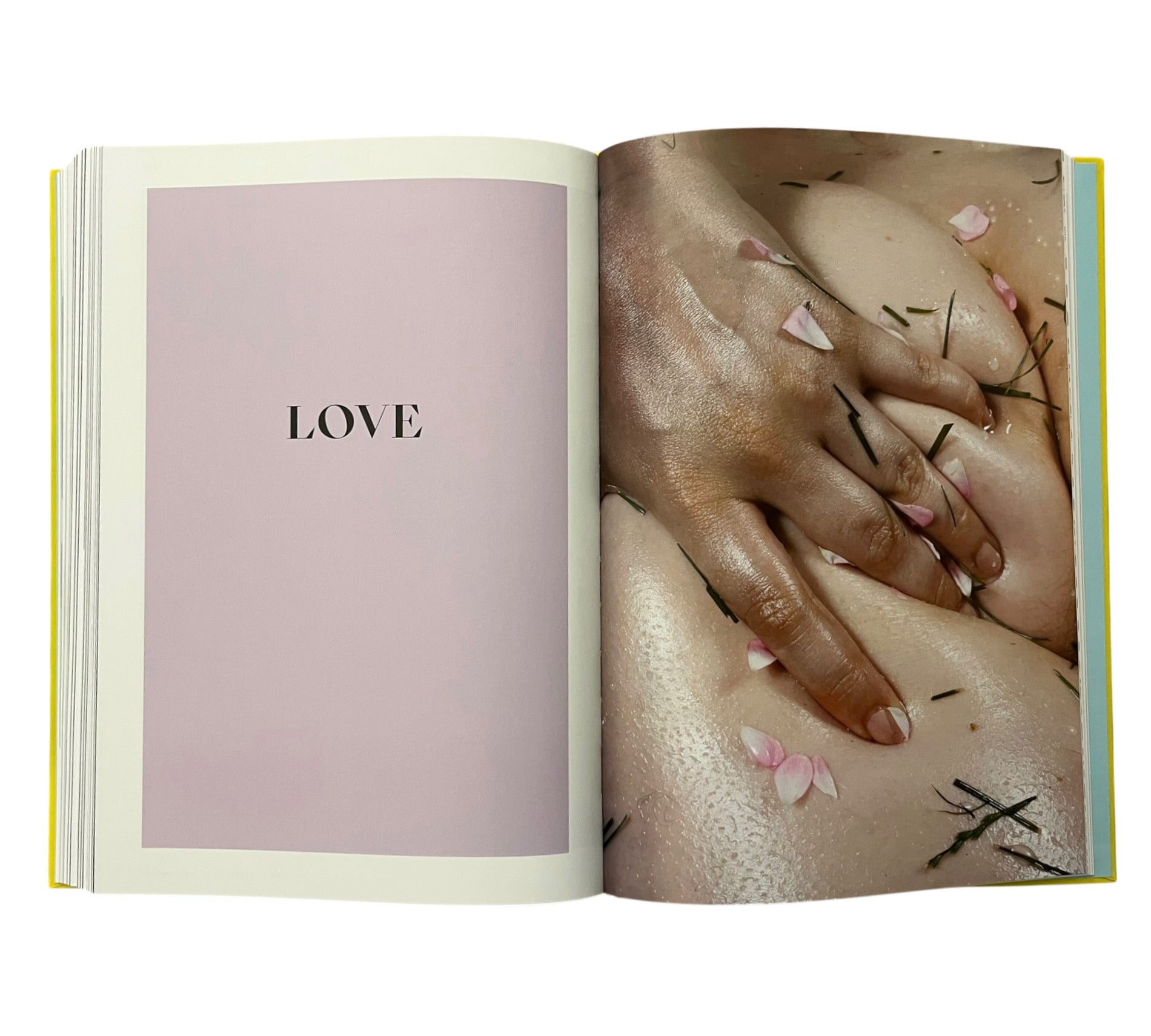 Body: The Photography Book