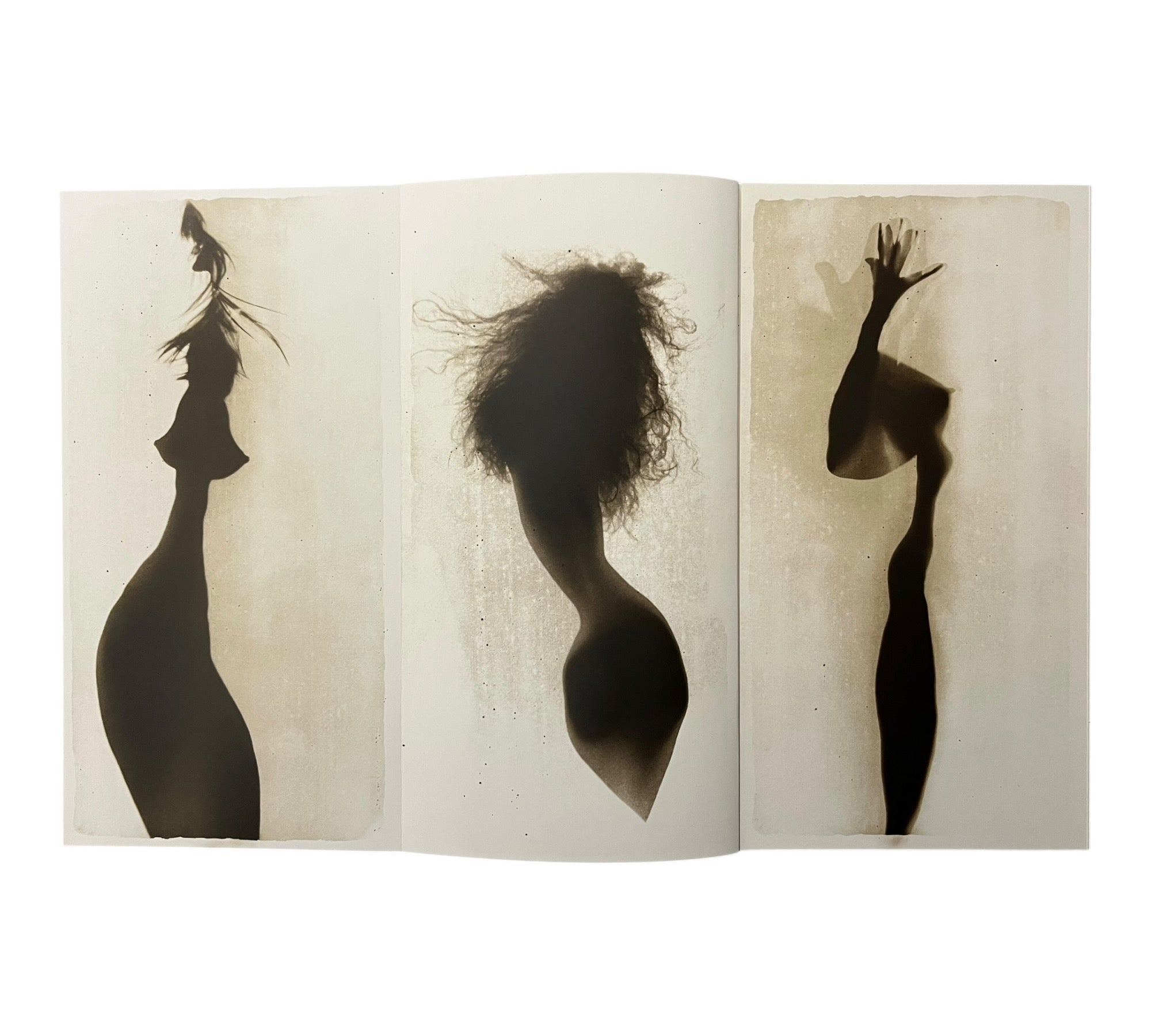 Alvin Booth: Osmosis