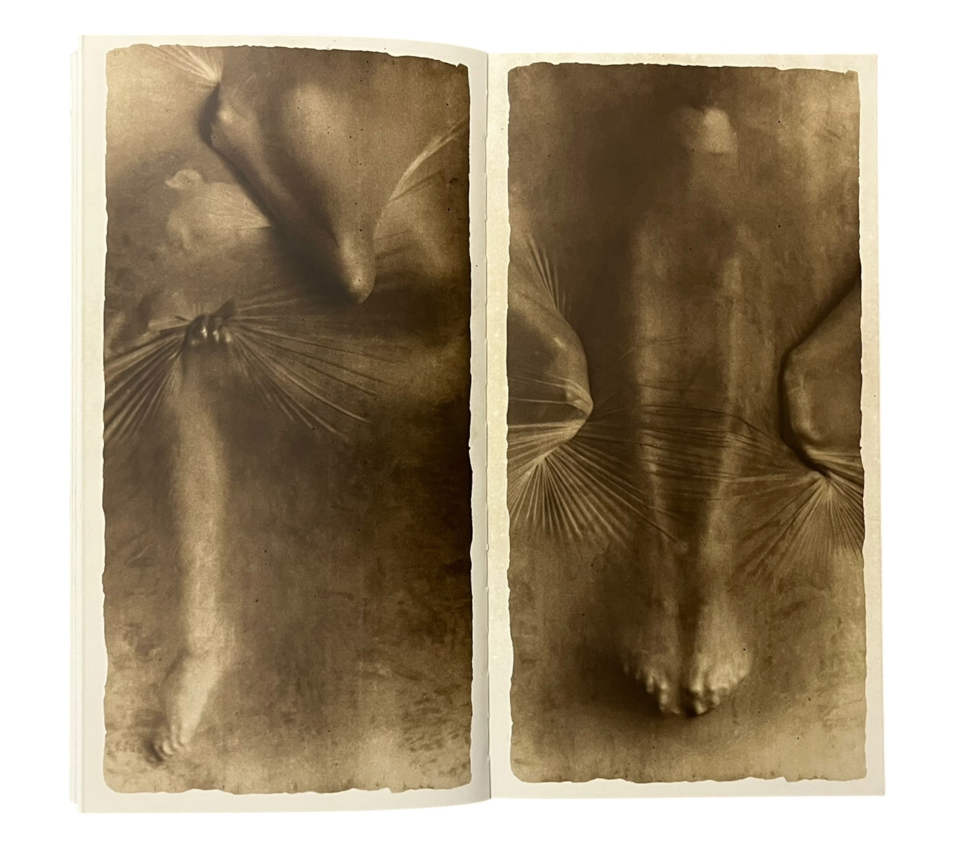 Alvin Booth: Osmosis