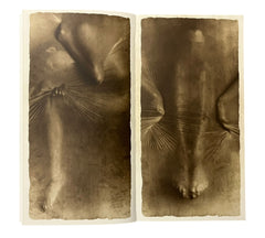 Alvin Booth: Osmosis