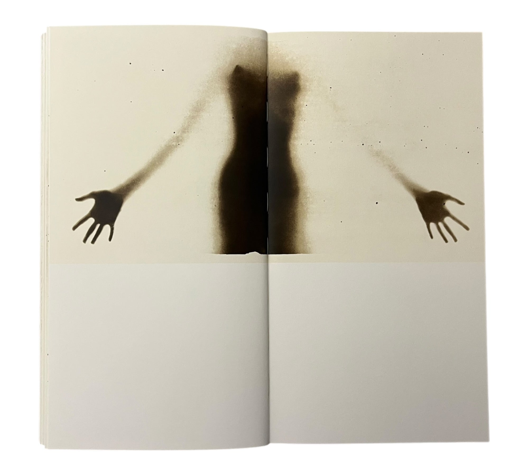 Alvin Booth: Osmosis