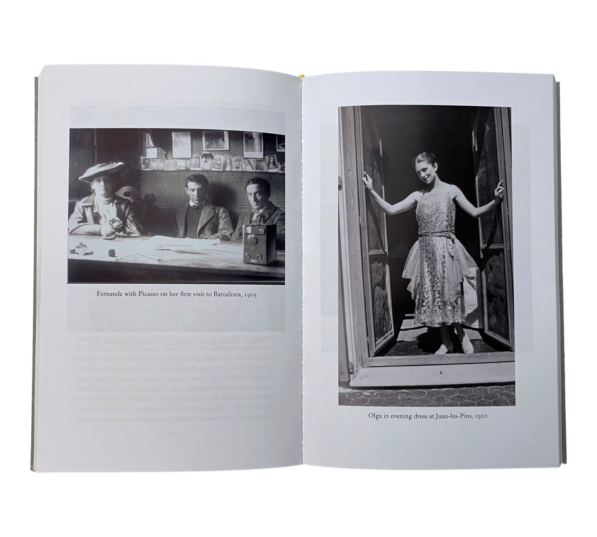 Hidden Portraits: The Untold Stories of Six Women Who Loved Picasso