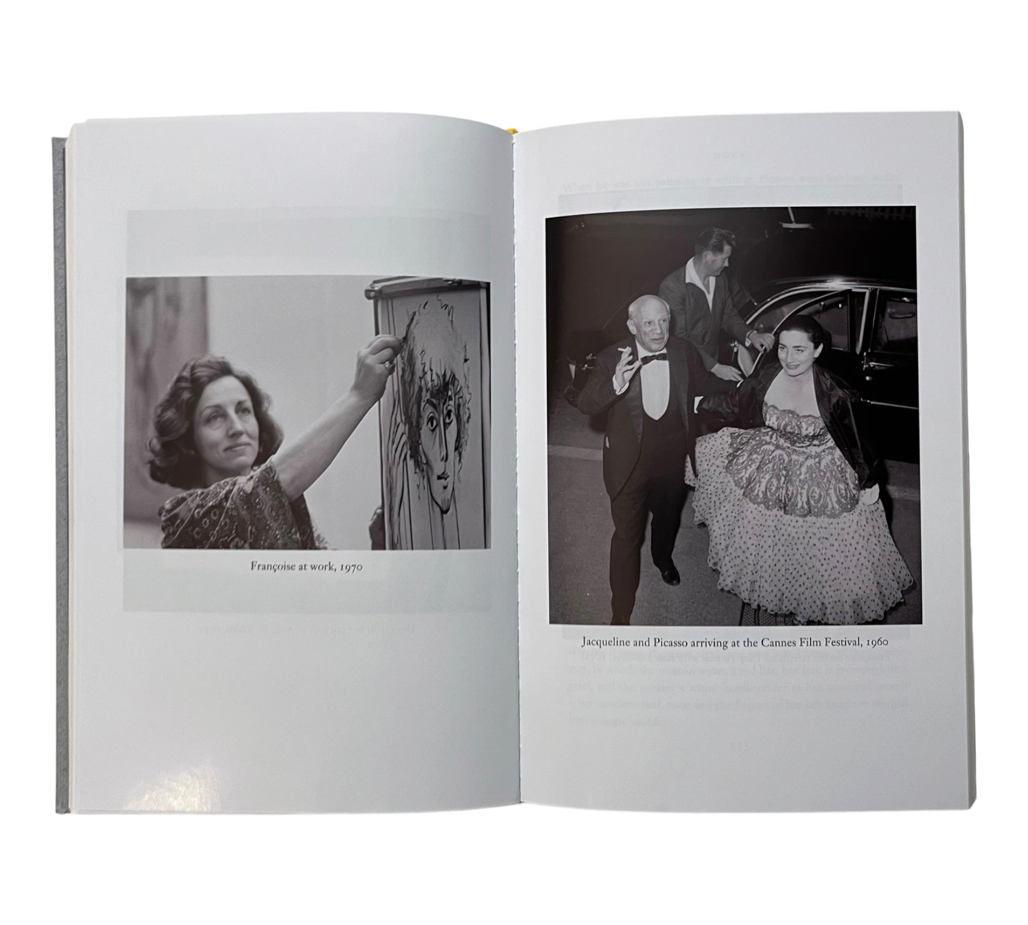 Hidden Portraits: The Untold Stories of Six Women Who Loved Picasso