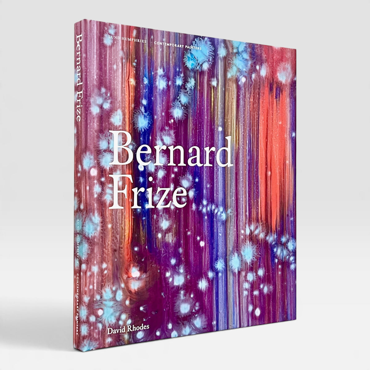 Bernard Frize (Contemporary Painters)