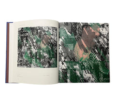 Jacqueline Humphries (Contemporary Painters)