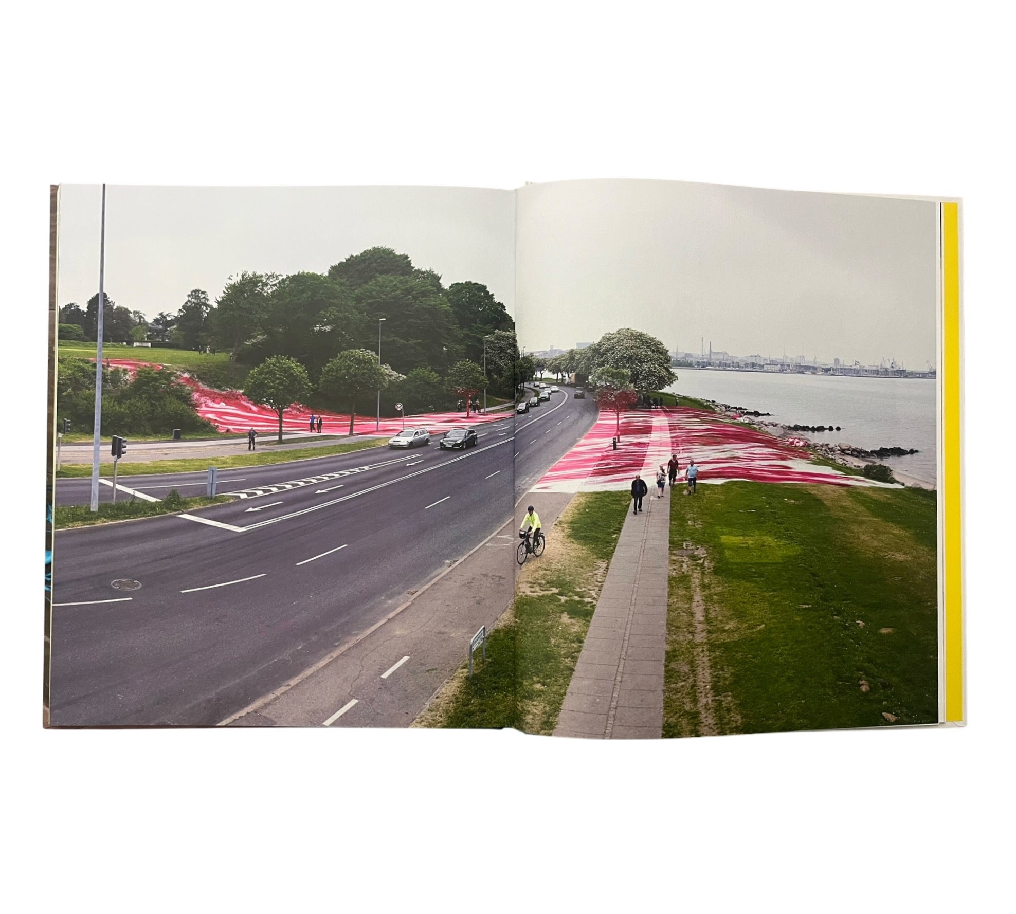 Katharina Grosse (Contemporary Painters)