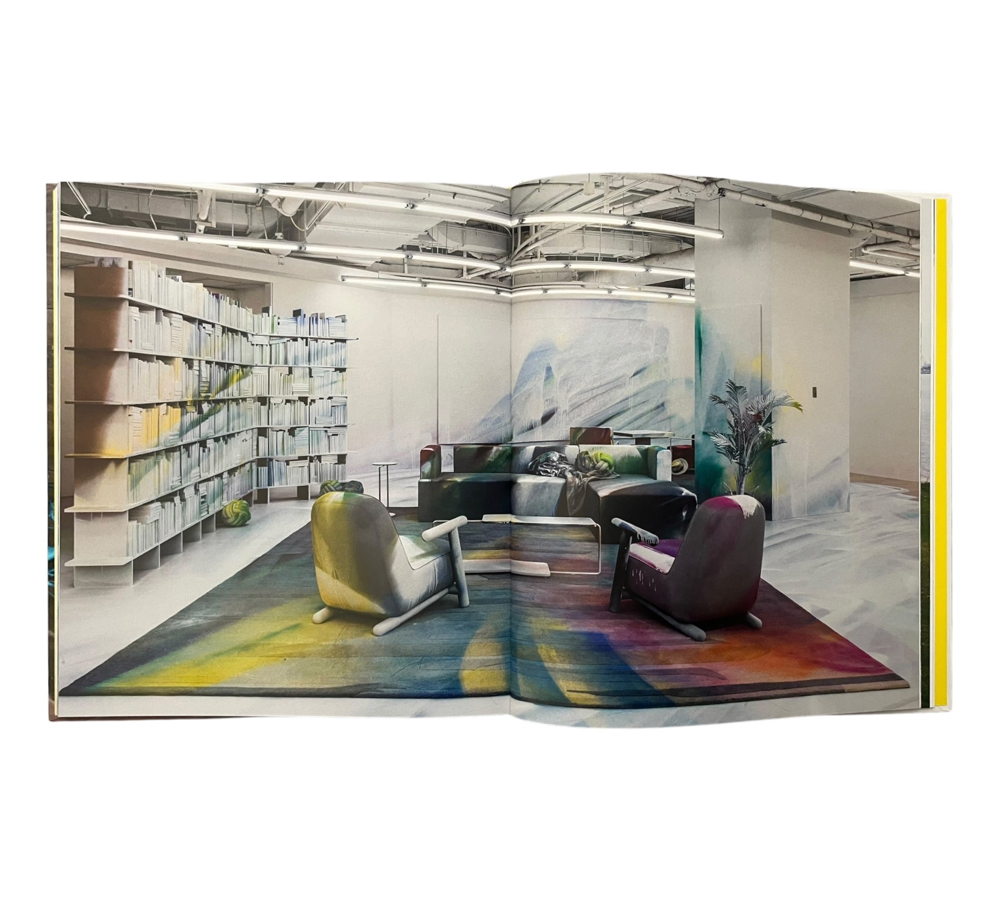 Katharina Grosse (Contemporary Painters)