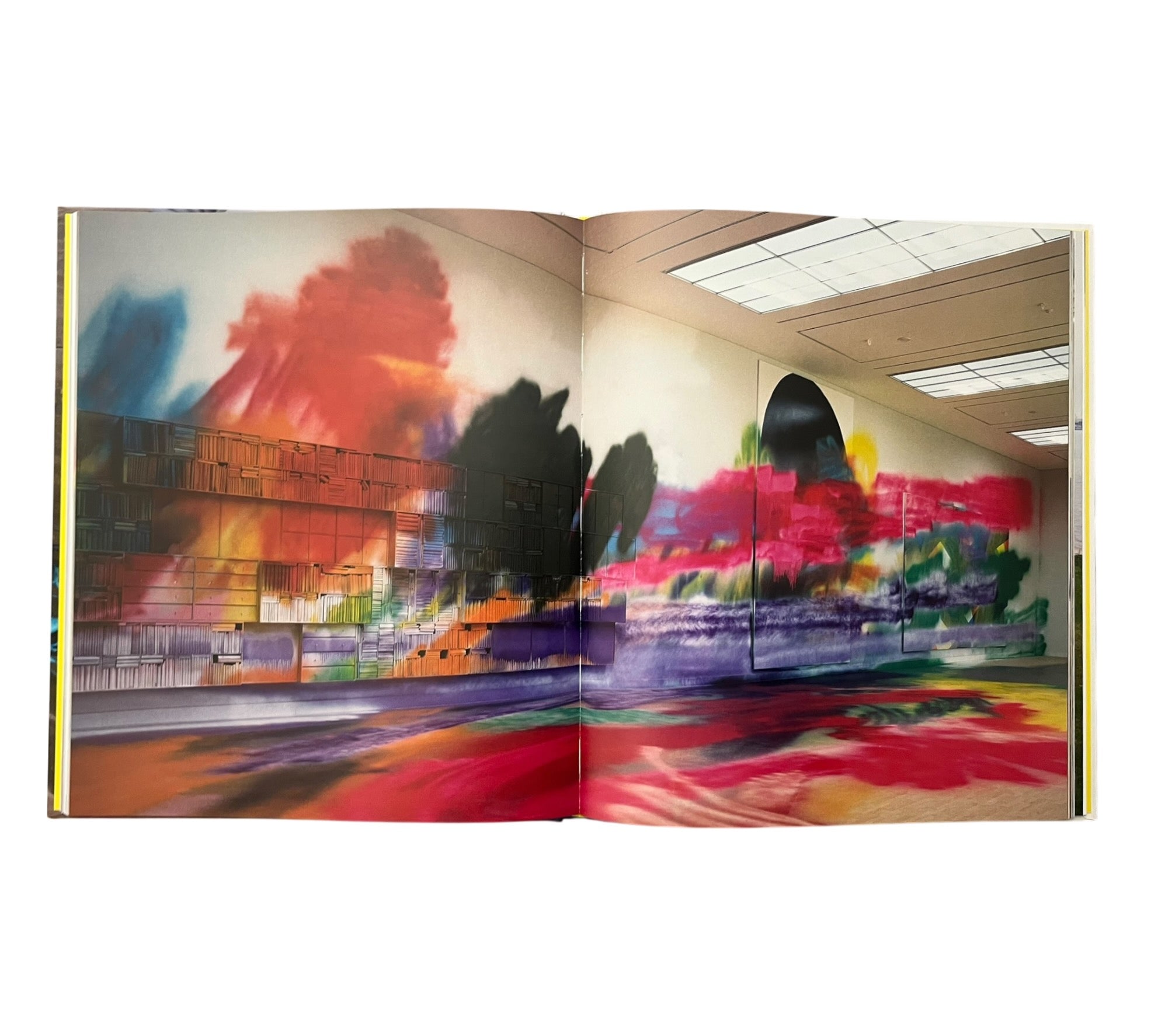 Katharina Grosse (Contemporary Painters)