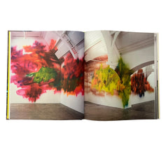 Katharina Grosse (Contemporary Painters)