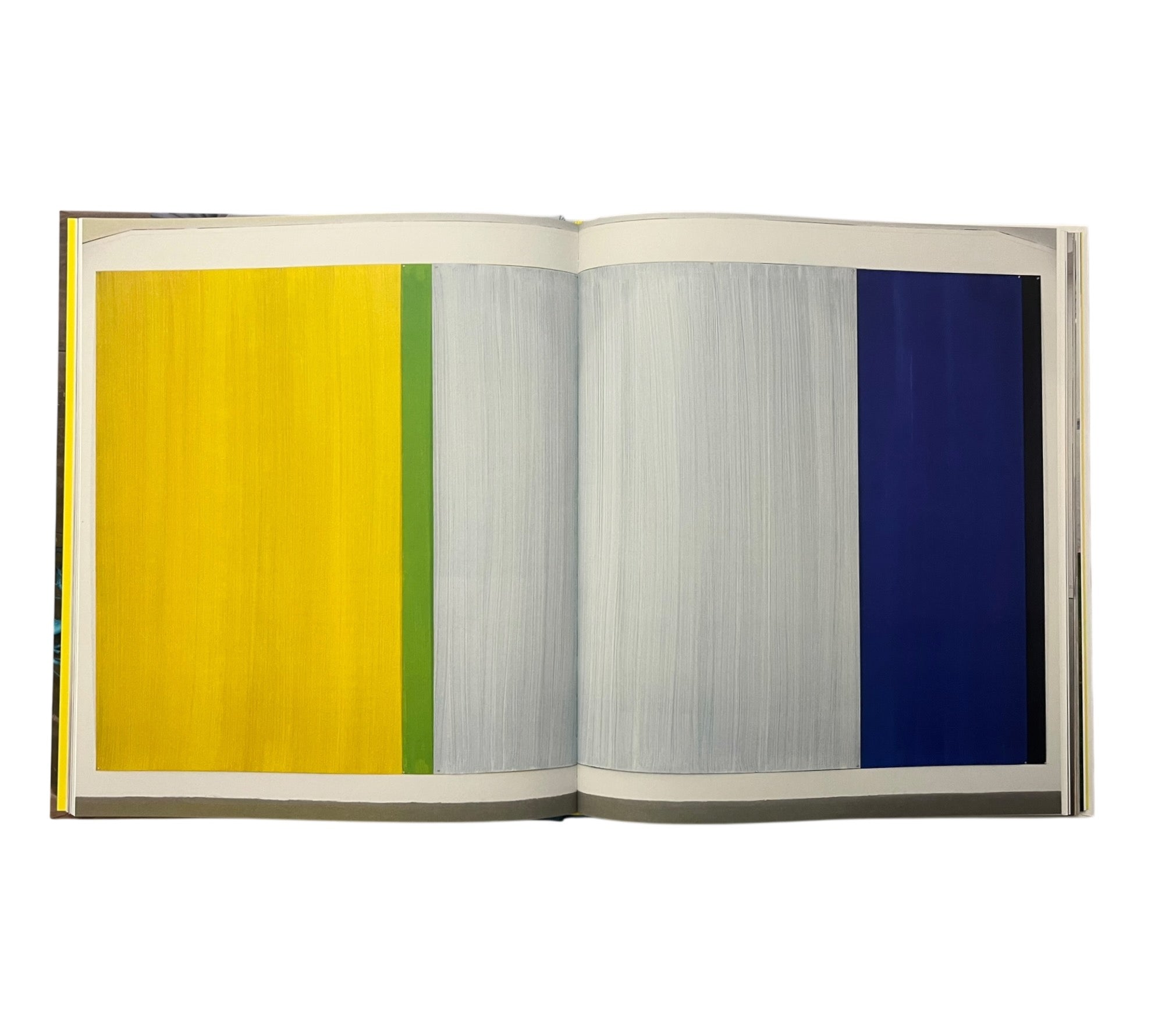 Katharina Grosse (Contemporary Painters)