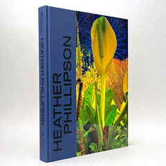 Heather Phillipson