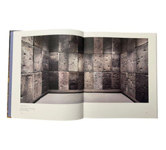 Guillermo Kuitca (Contemporary Painters)