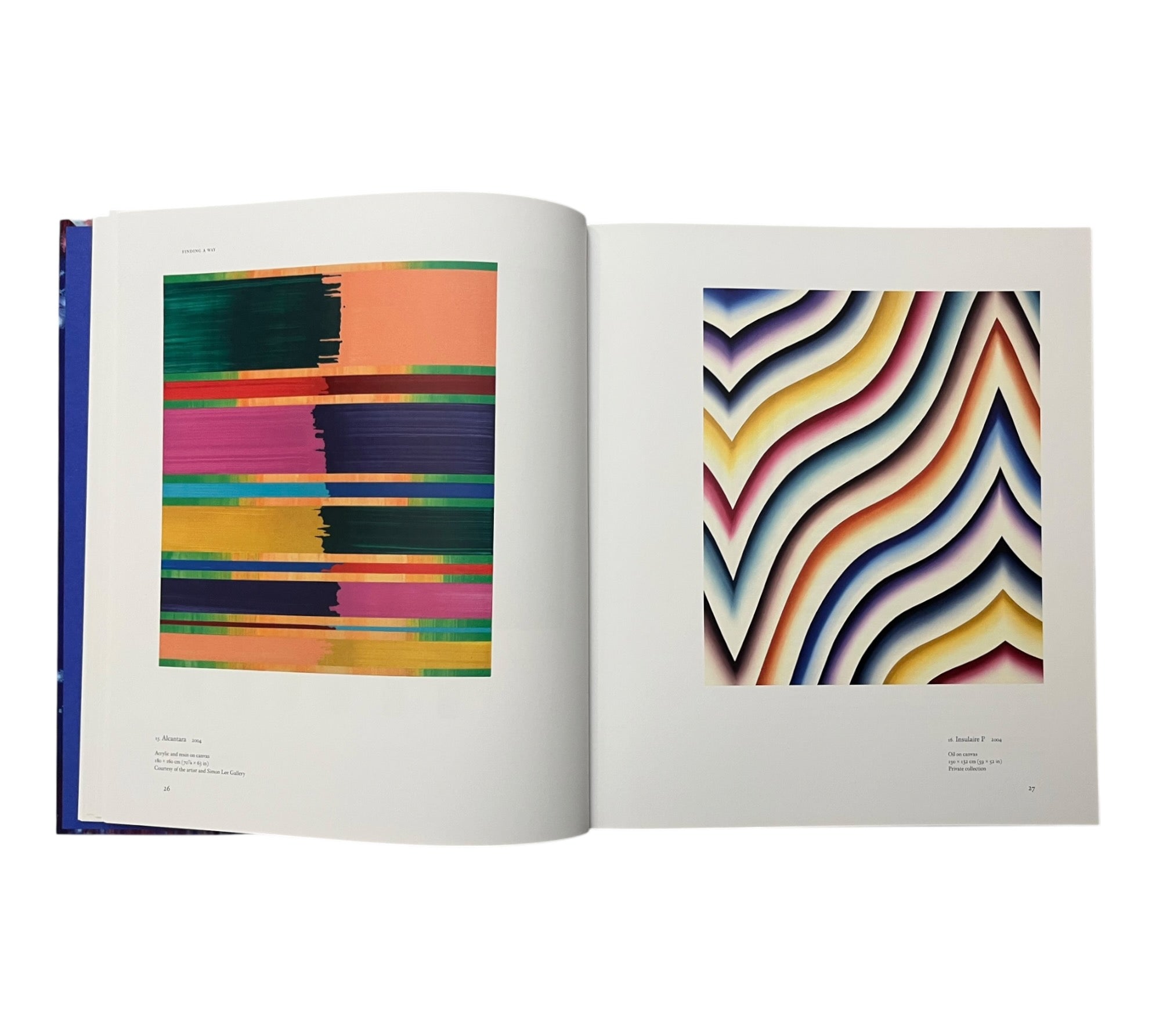 Bernard Frize (Contemporary Painters)