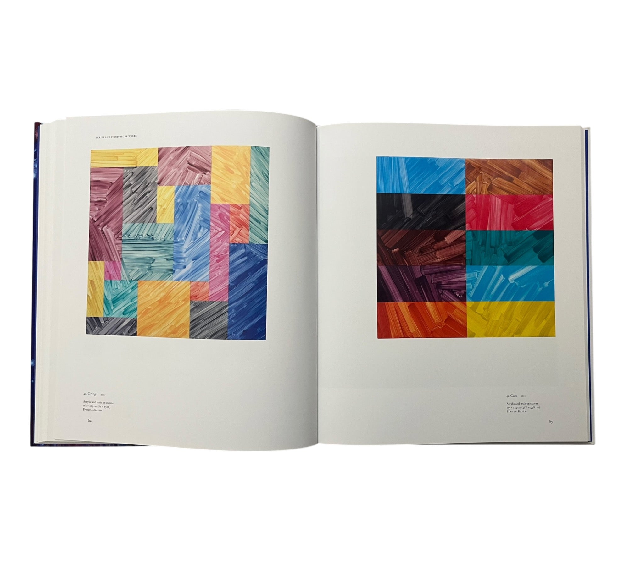 Bernard Frize (Contemporary Painters)