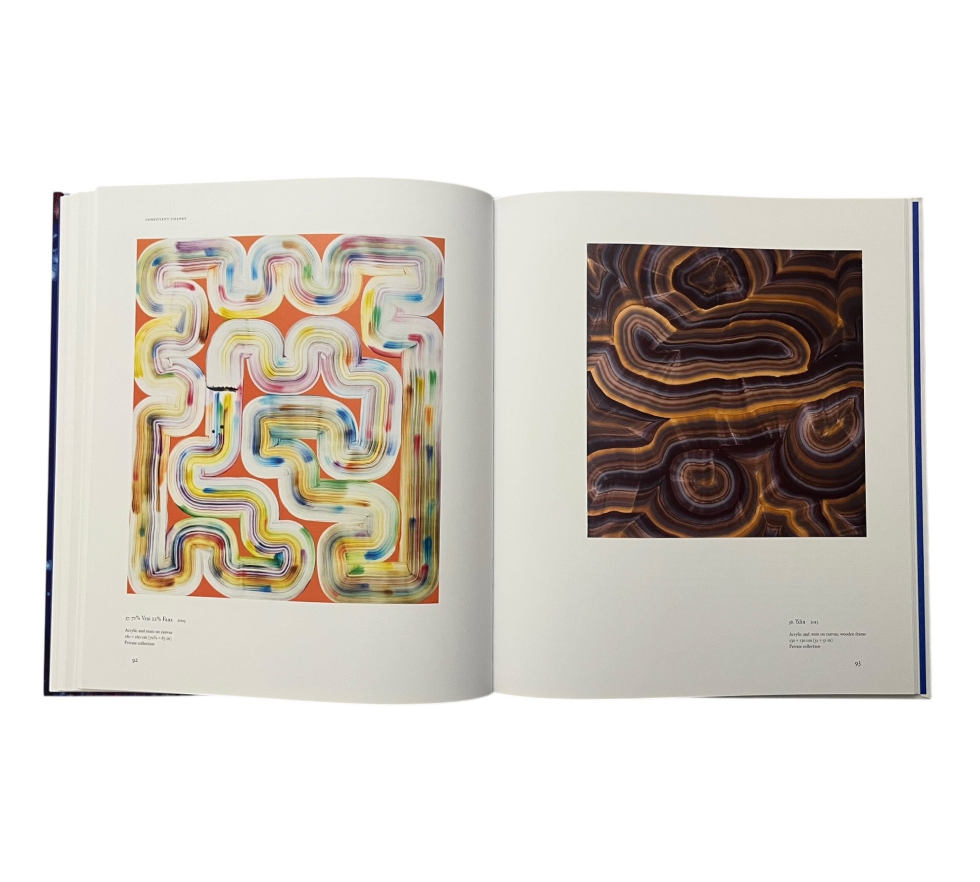 Bernard Frize (Contemporary Painters)