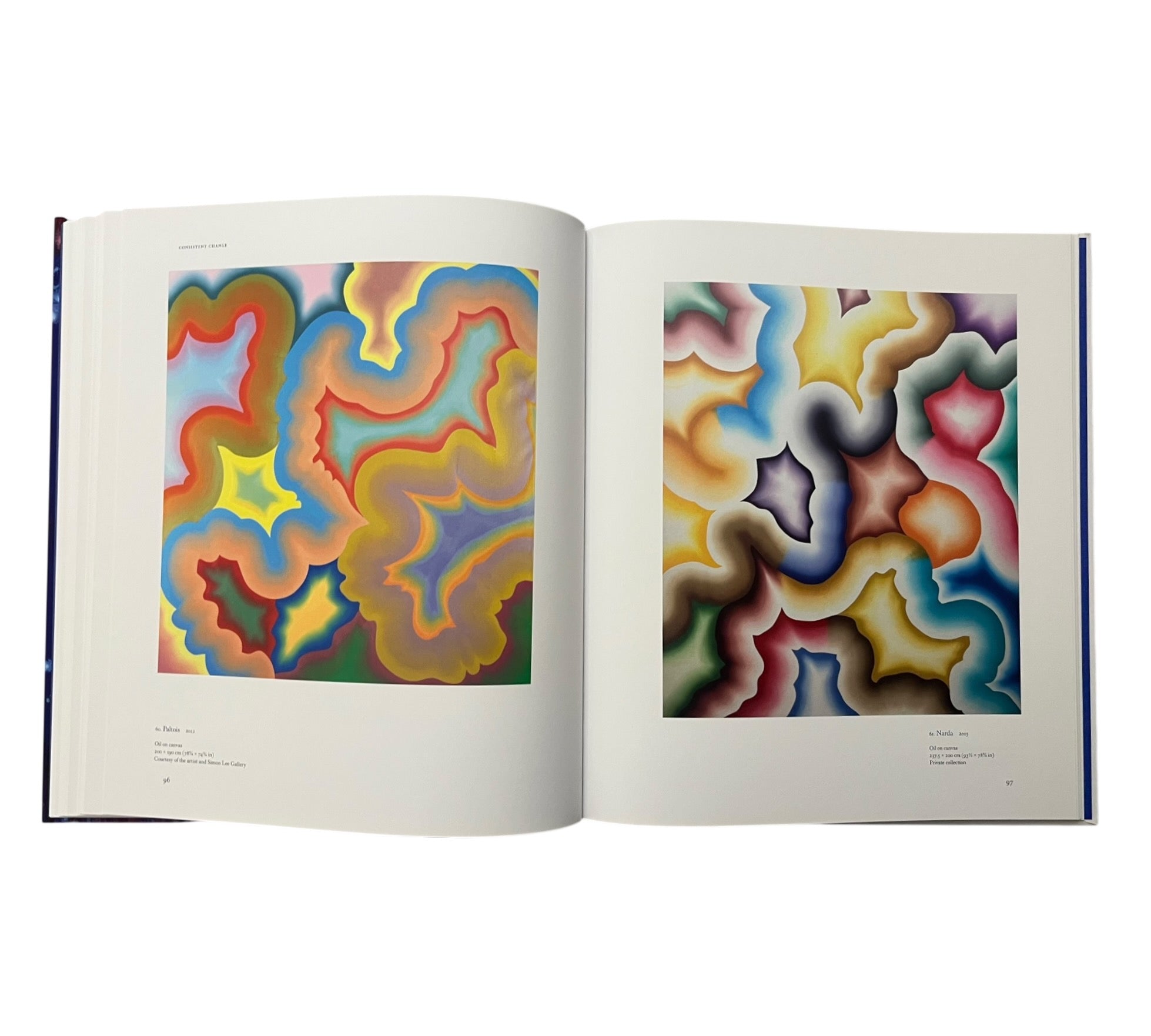 Bernard Frize (Contemporary Painters)