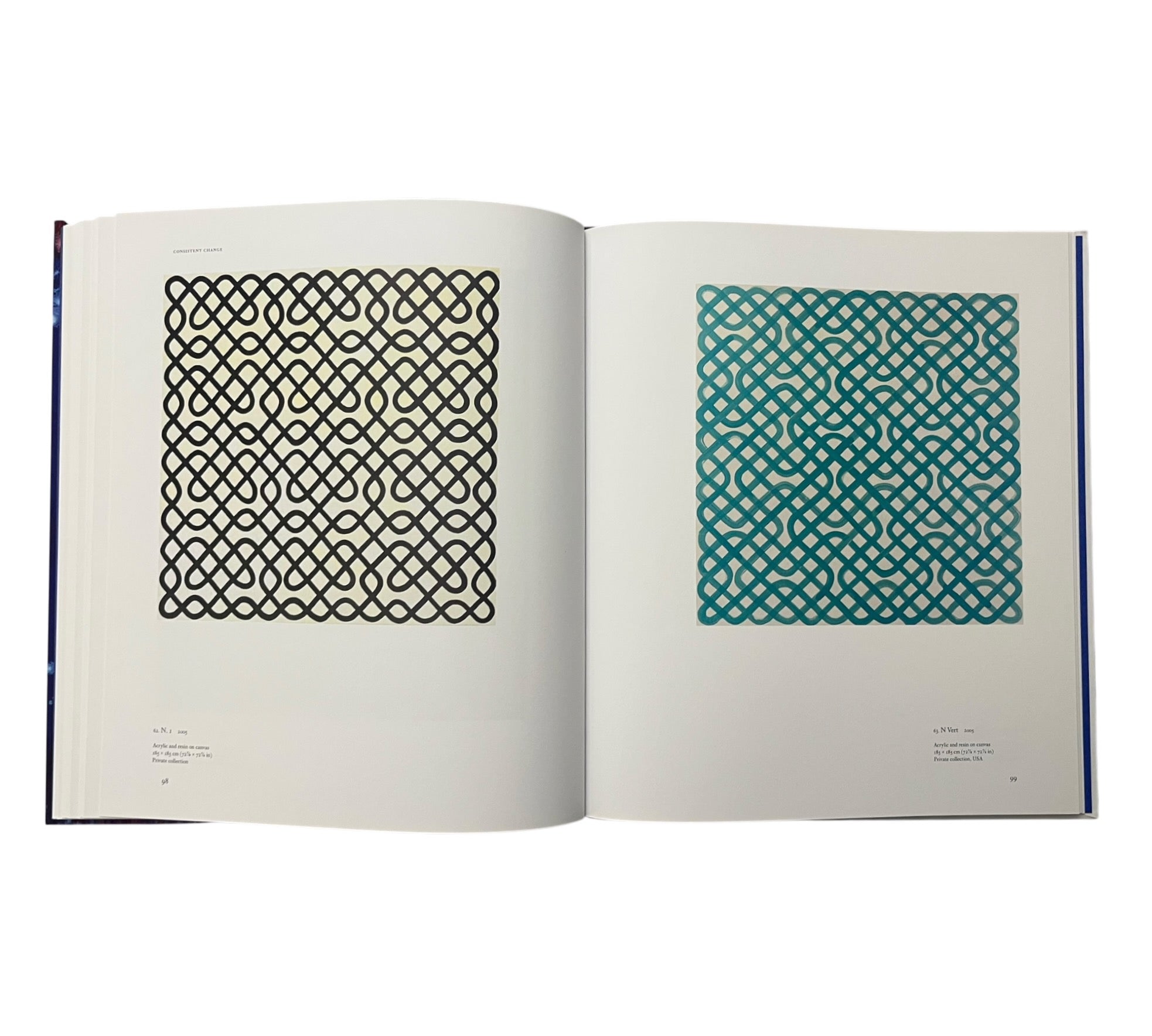 Bernard Frize (Contemporary Painters)