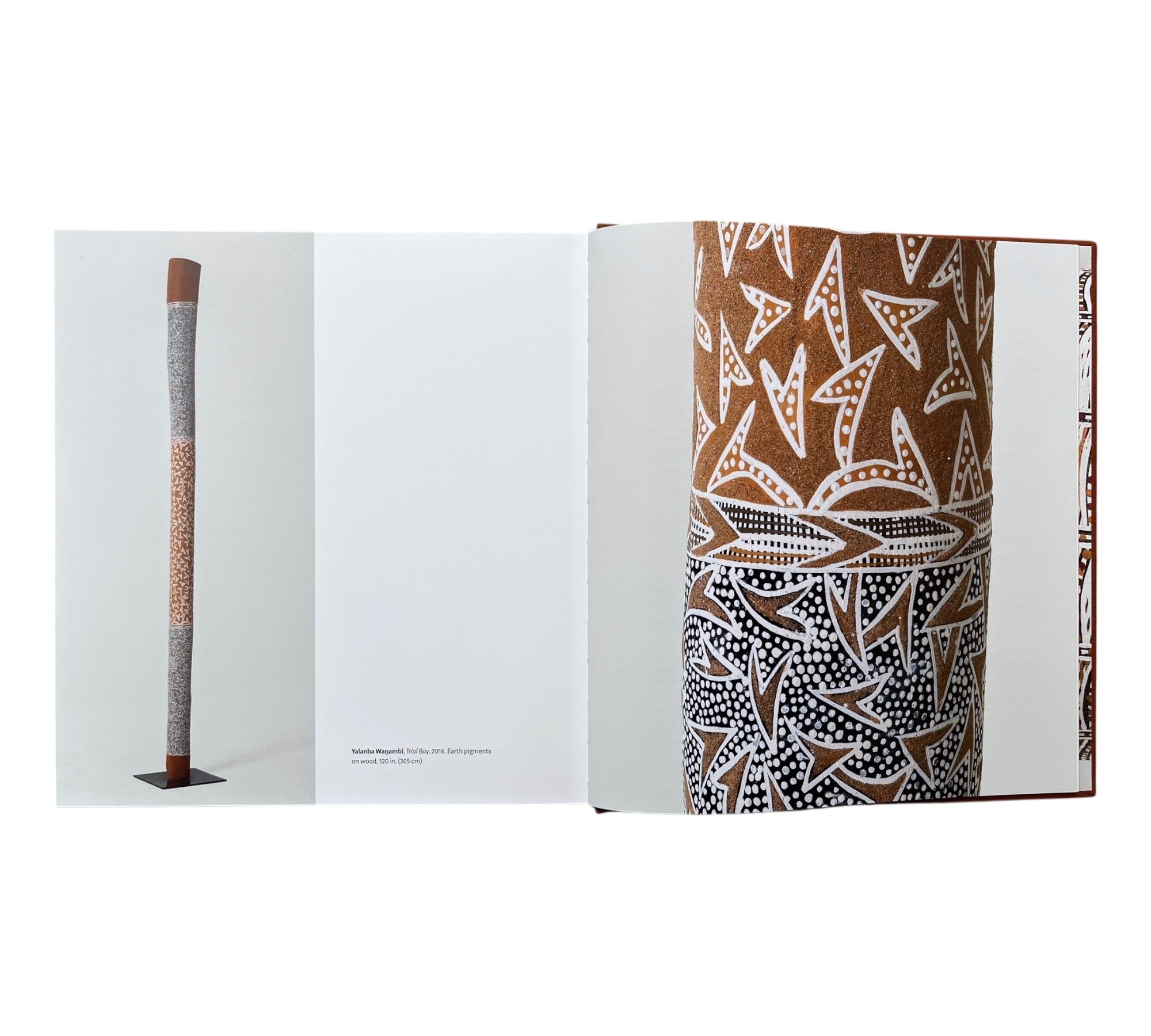 The Inside World: Contemporary Aboriginal Australian Memorial Poles