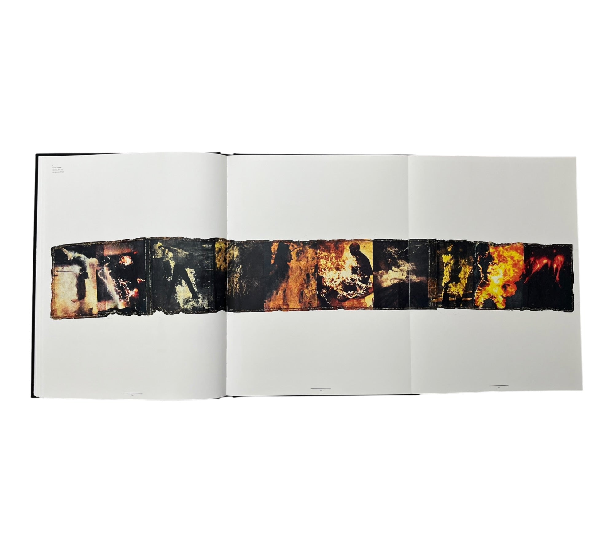 Fire (Prix Pictet 09)