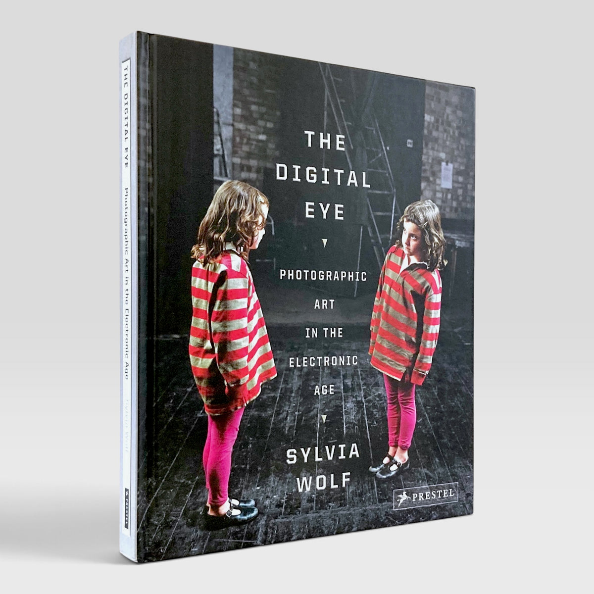 The Digital Eye: Photographic Art in the Electronic Age