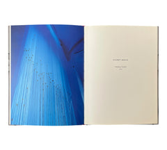 Robin Minard: 4 - Four Spaces / Four Installations (Rare edition)