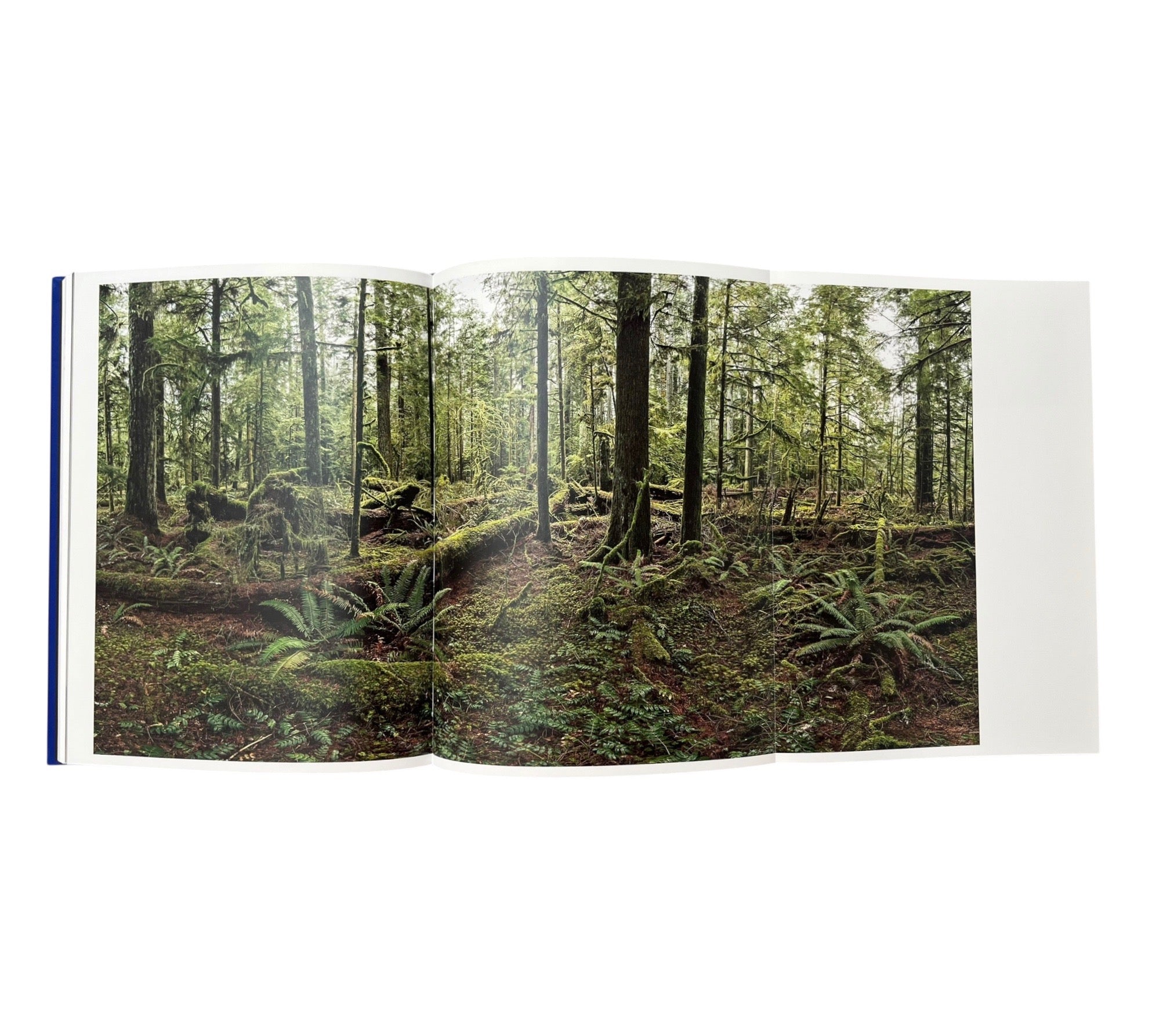 Masterworks of Industrial Photography: Exhibitions 2019