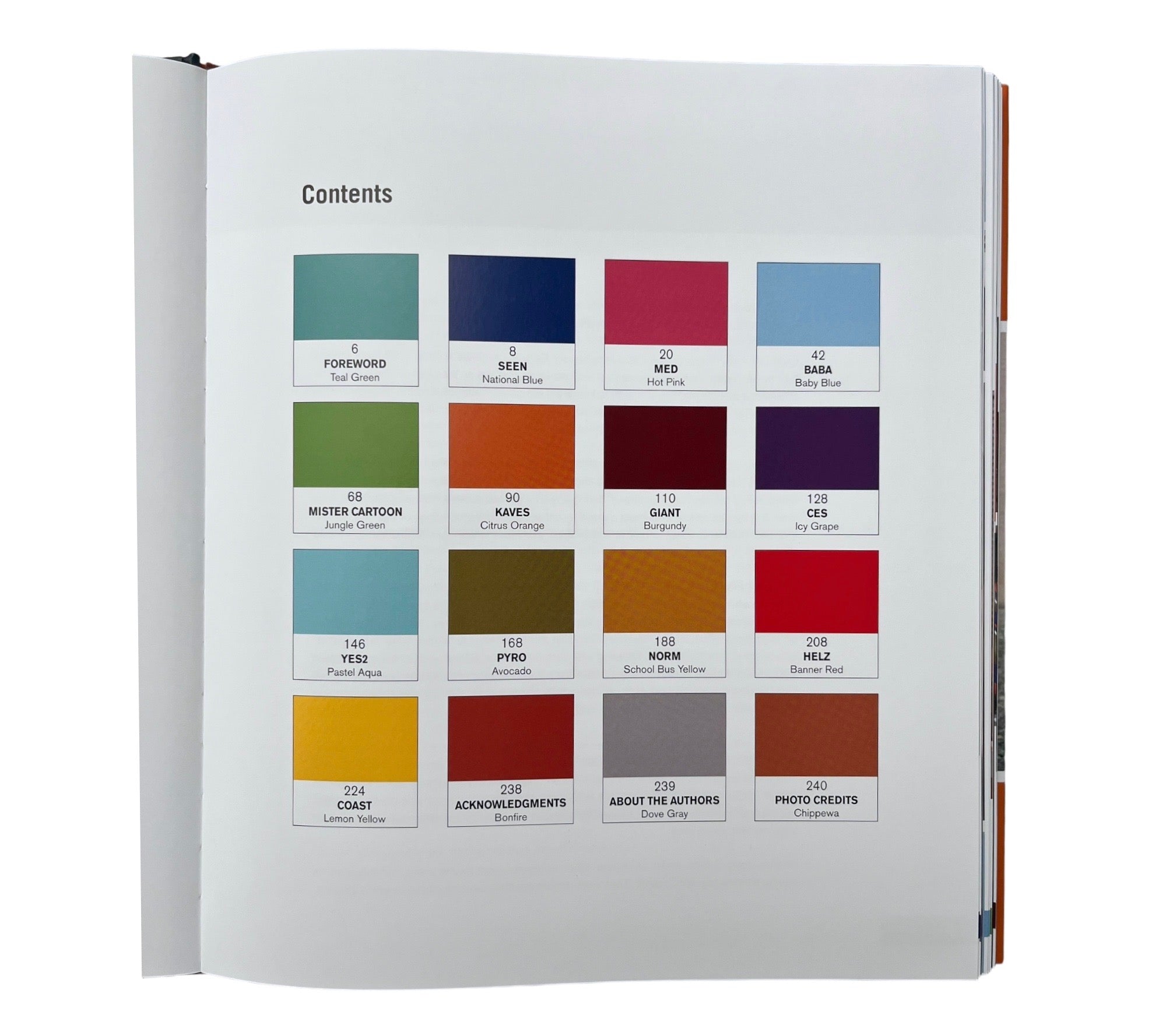 Skin Graf: Masters of Graffiti Tattoo