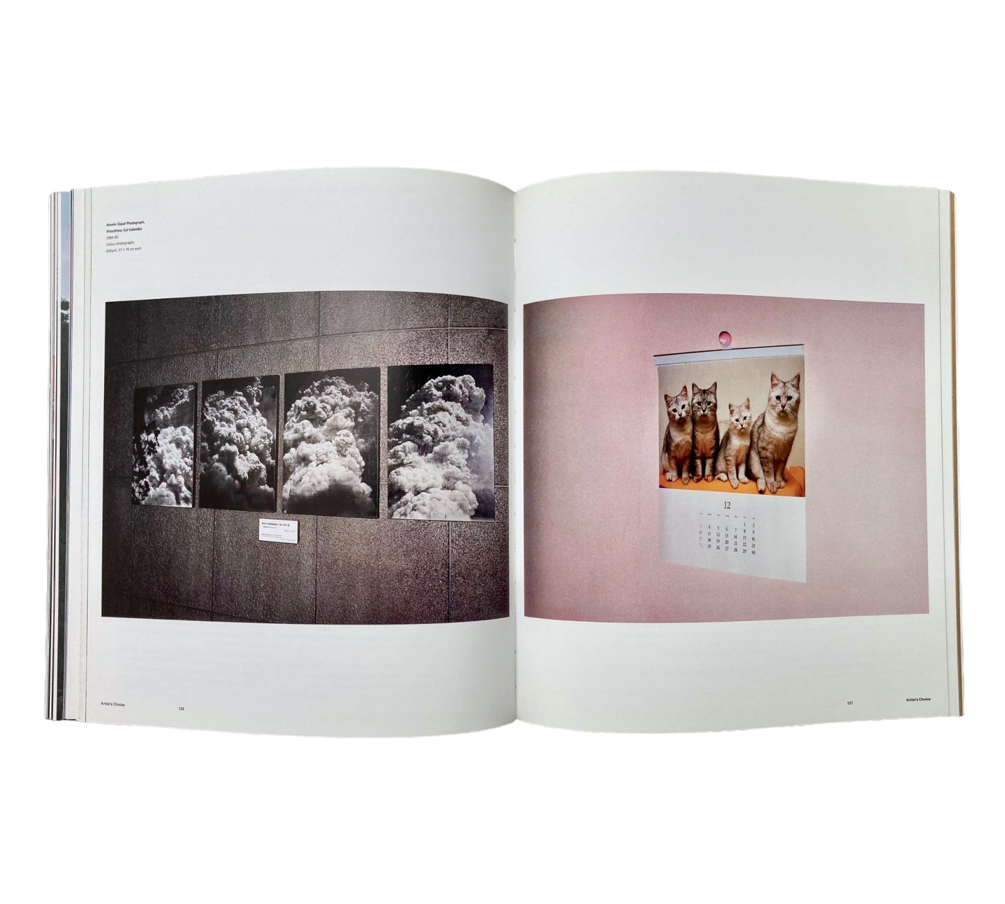Paul Graham (Phaidon Contemporary Artists Series)