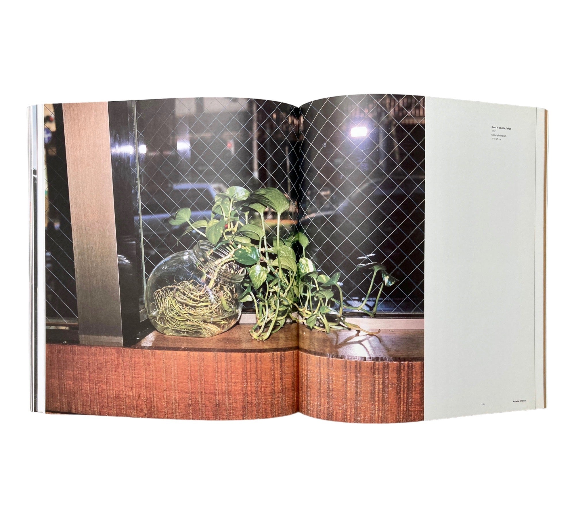 Paul Graham (Phaidon Contemporary Artists Series)