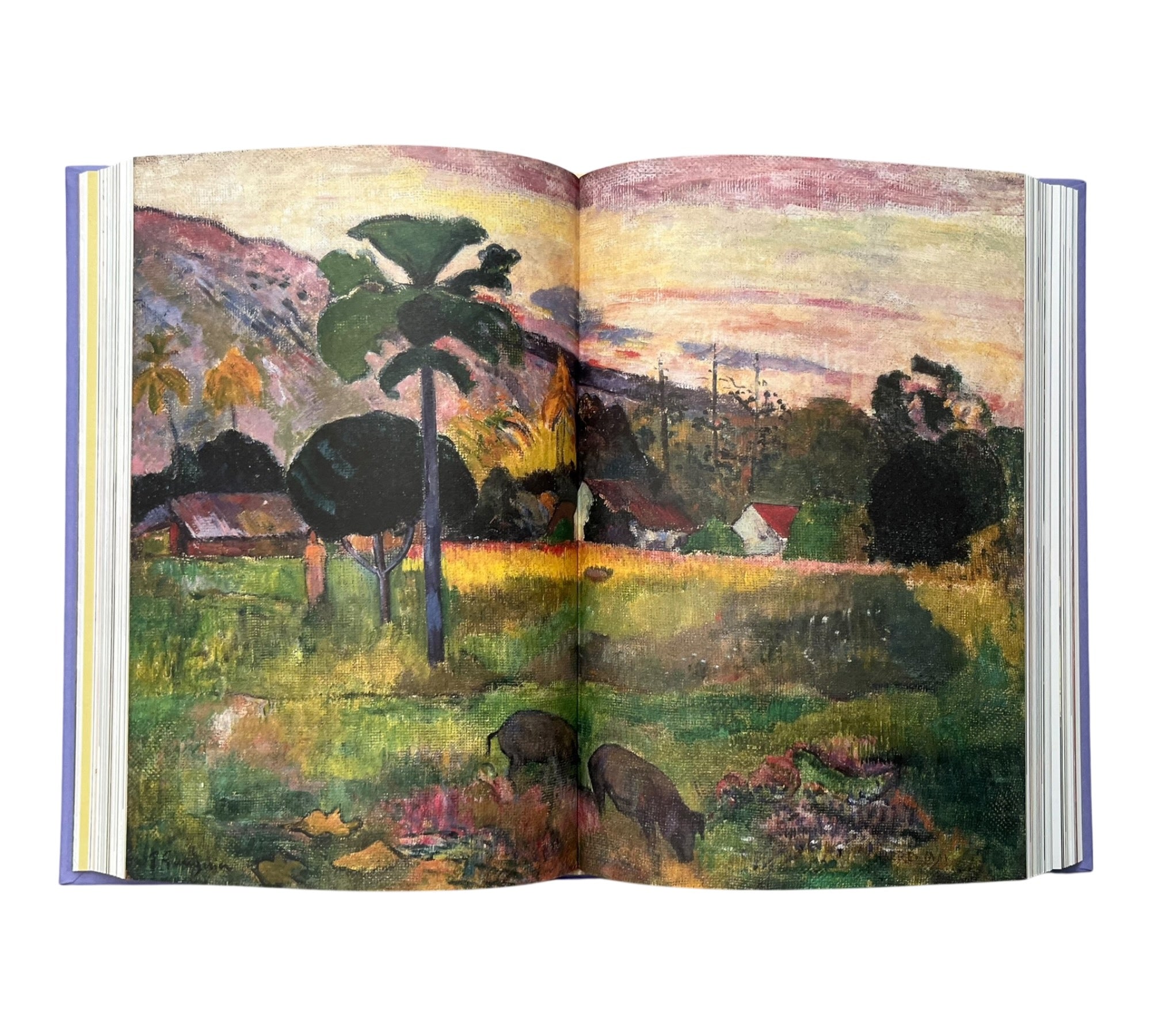 Gauguin and Polynesia