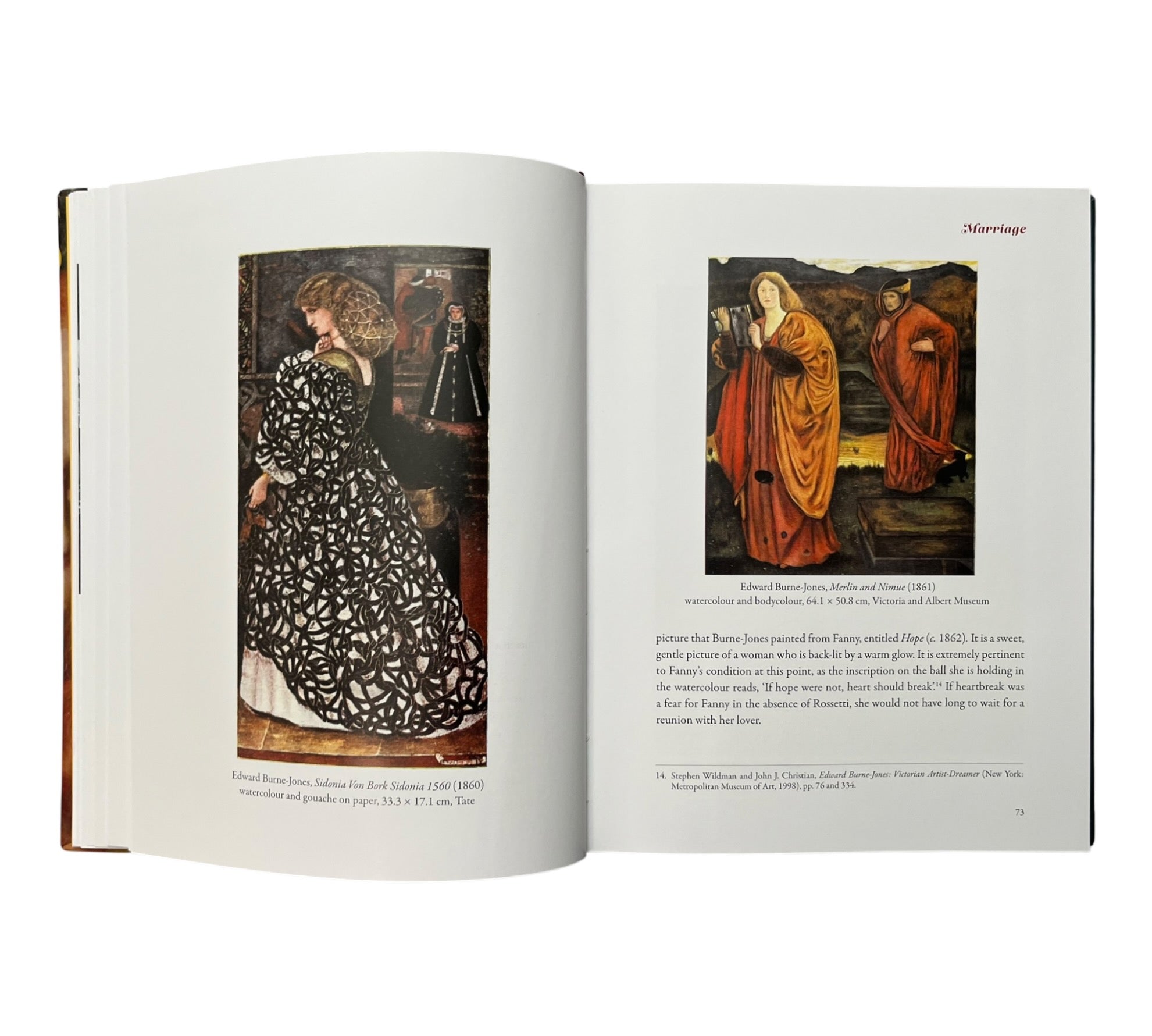 Stunner: The Fall and Rise of Fanny Cornforth (Non-mint)