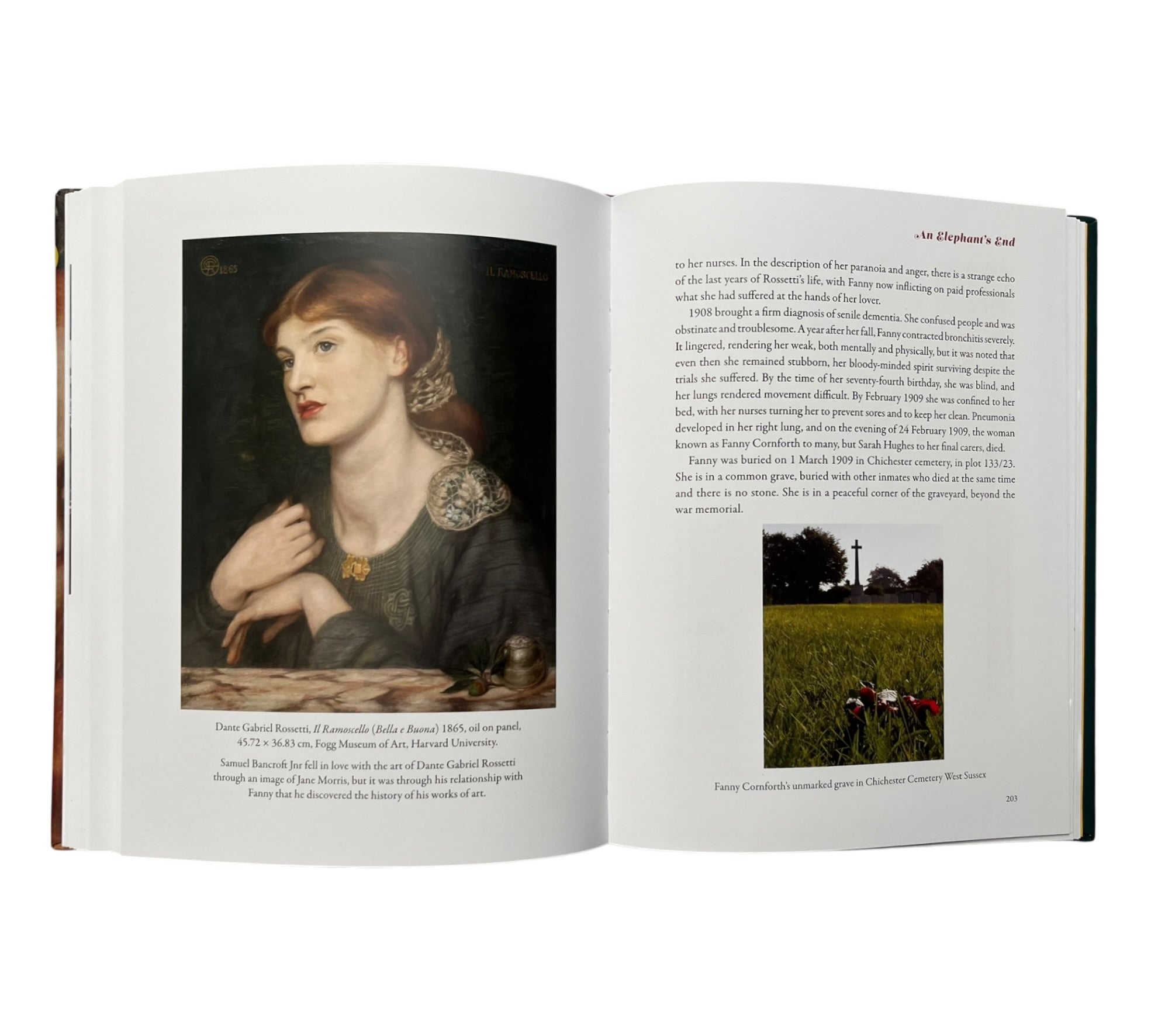 Stunner: The Fall and Rise of Fanny Cornforth (Non-mint)