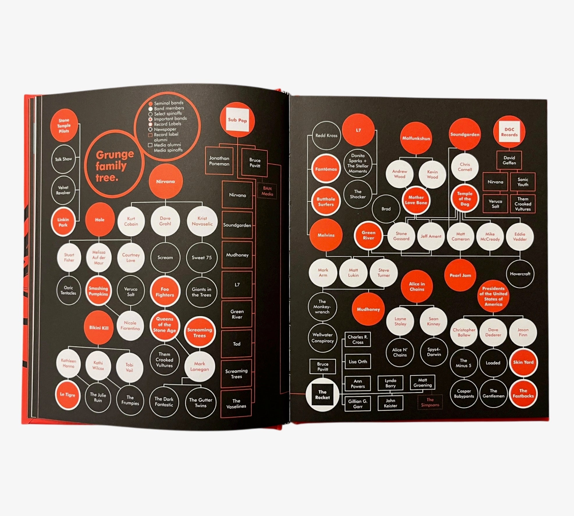 A Field Guide to Grunge