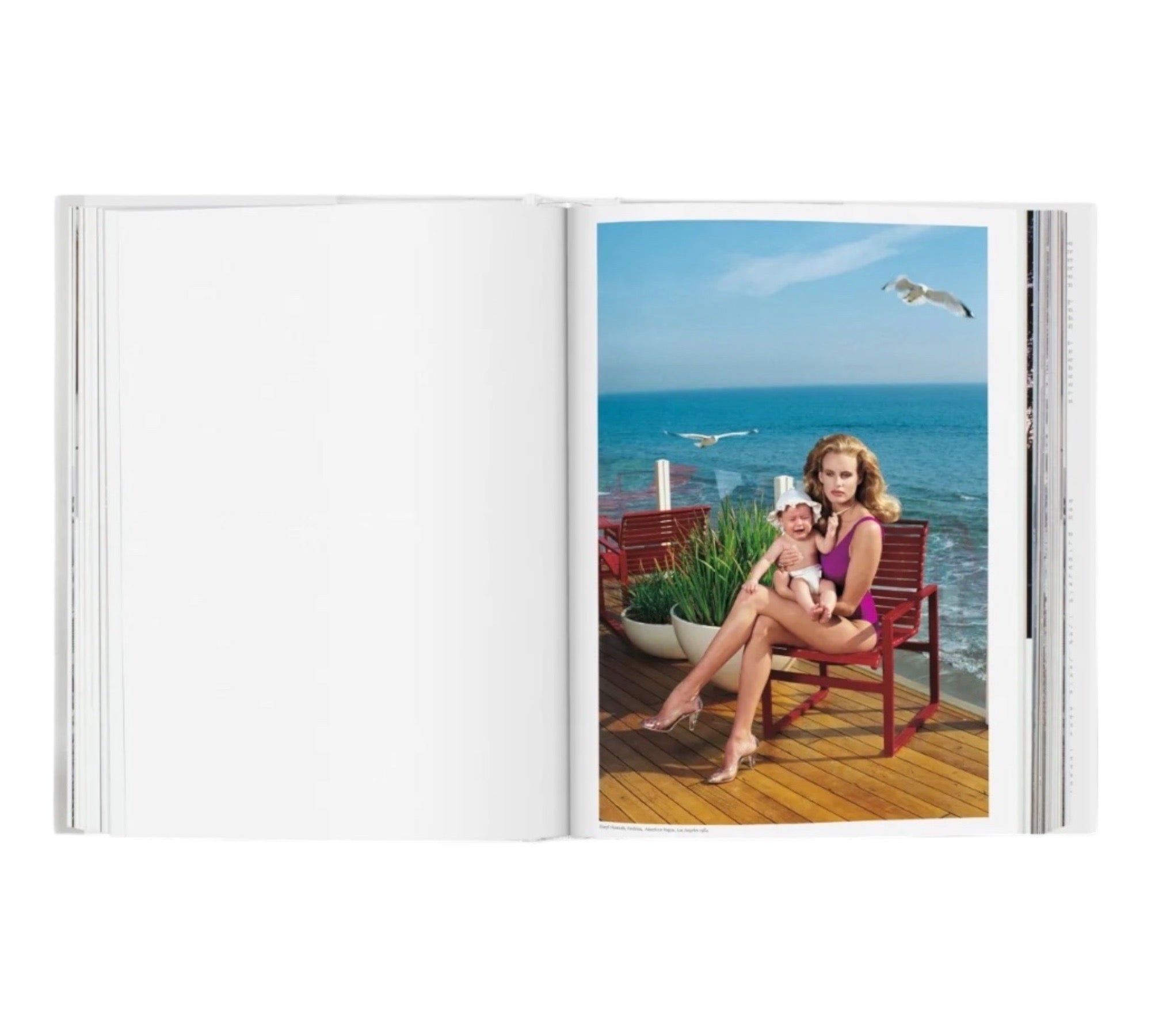 Helmut Newton: SUMO - 20th Anniversary Edition (Non-mint)