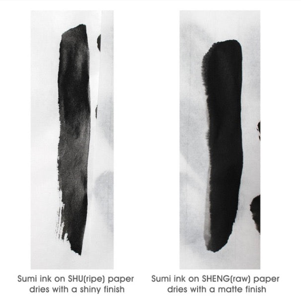 Rice Paper, Ink and Brush sets