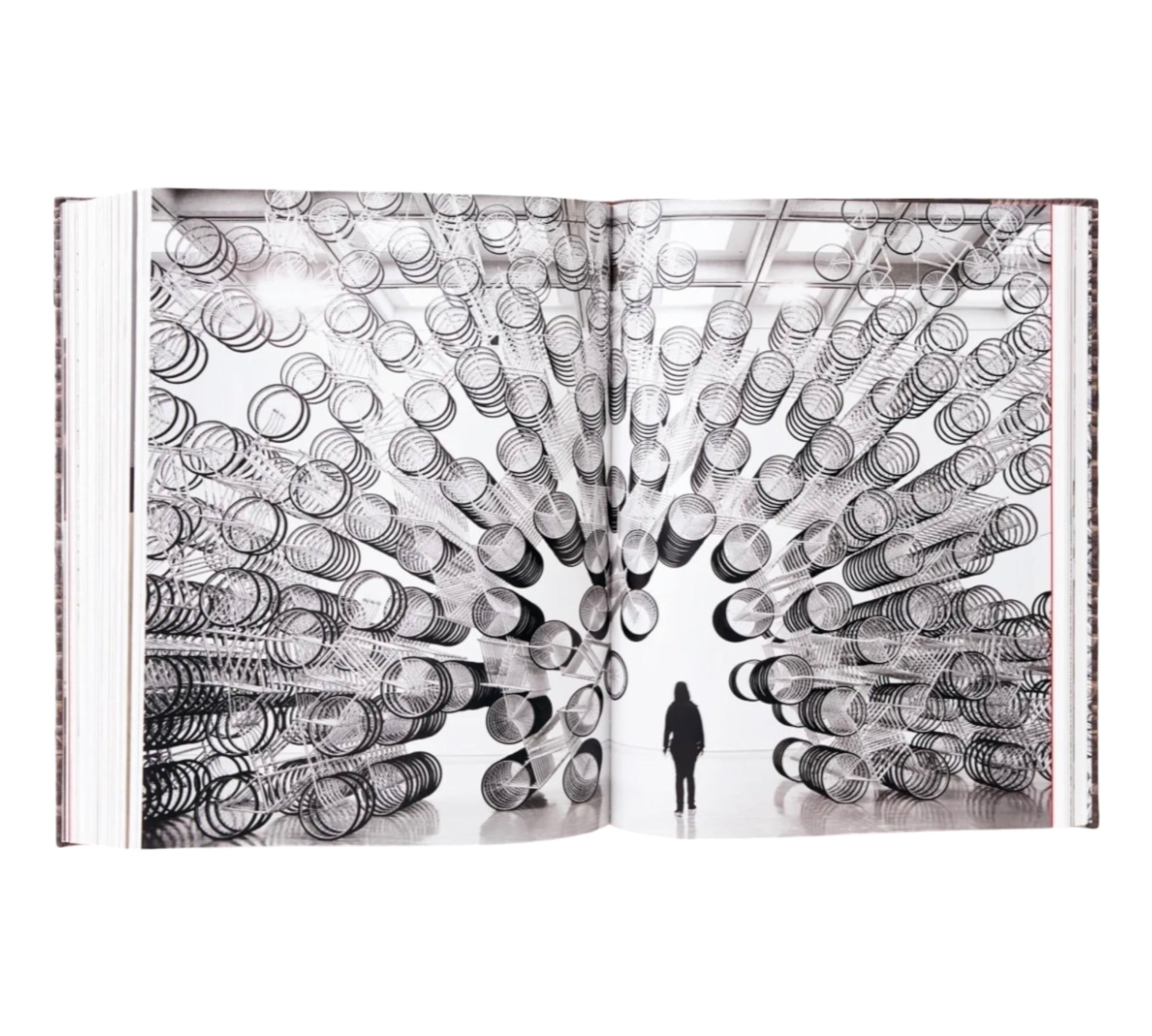 Ai Weiwei - XXL Collectors edition (Trade sample)