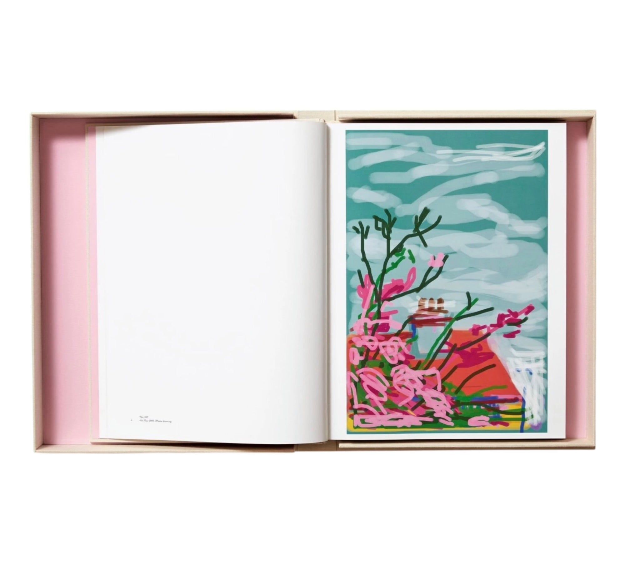 David Hockney: My Window - BABY SUMO edition (Trade sample)