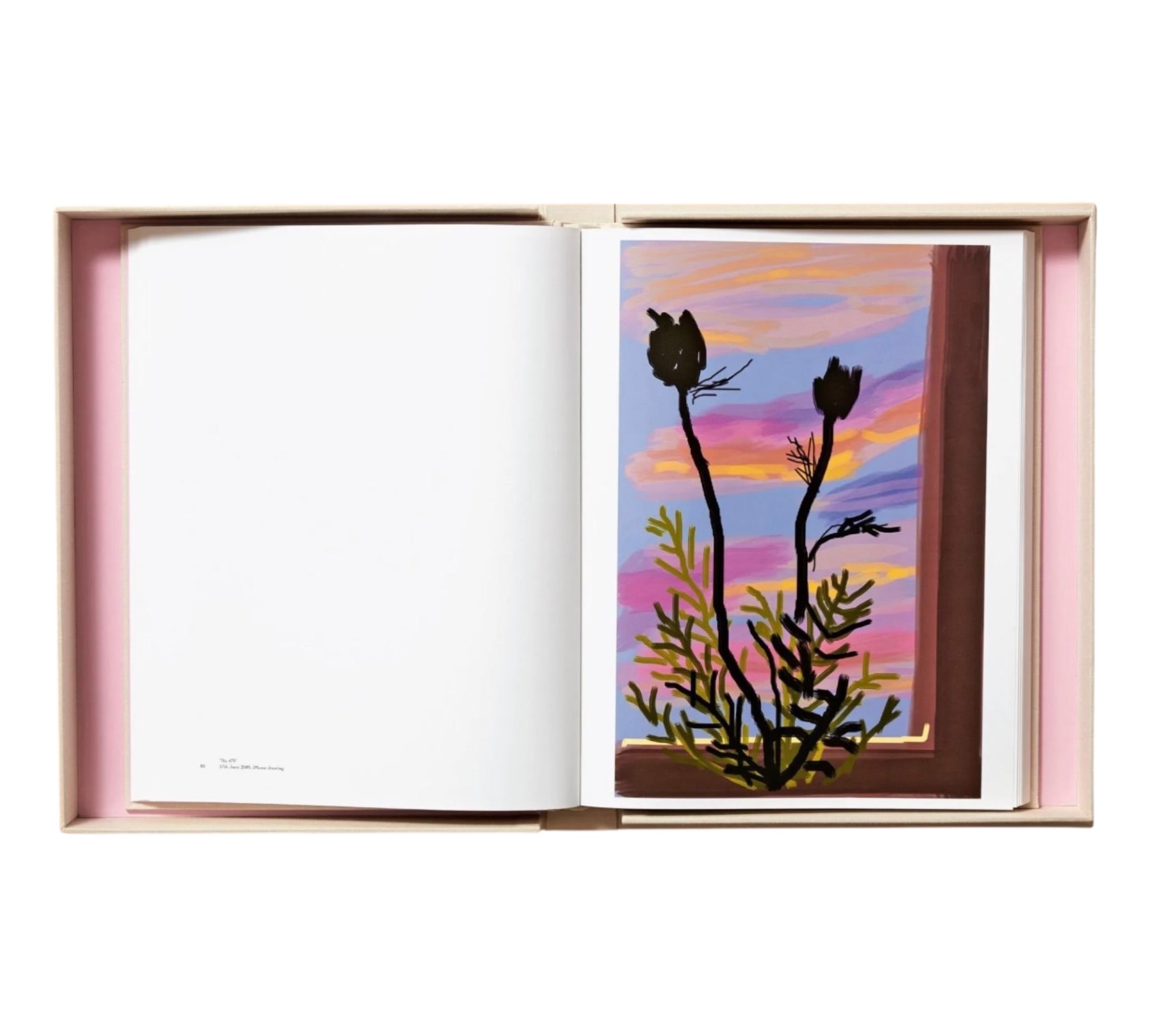 David Hockney: My Window - BABY SUMO edition (Trade sample)