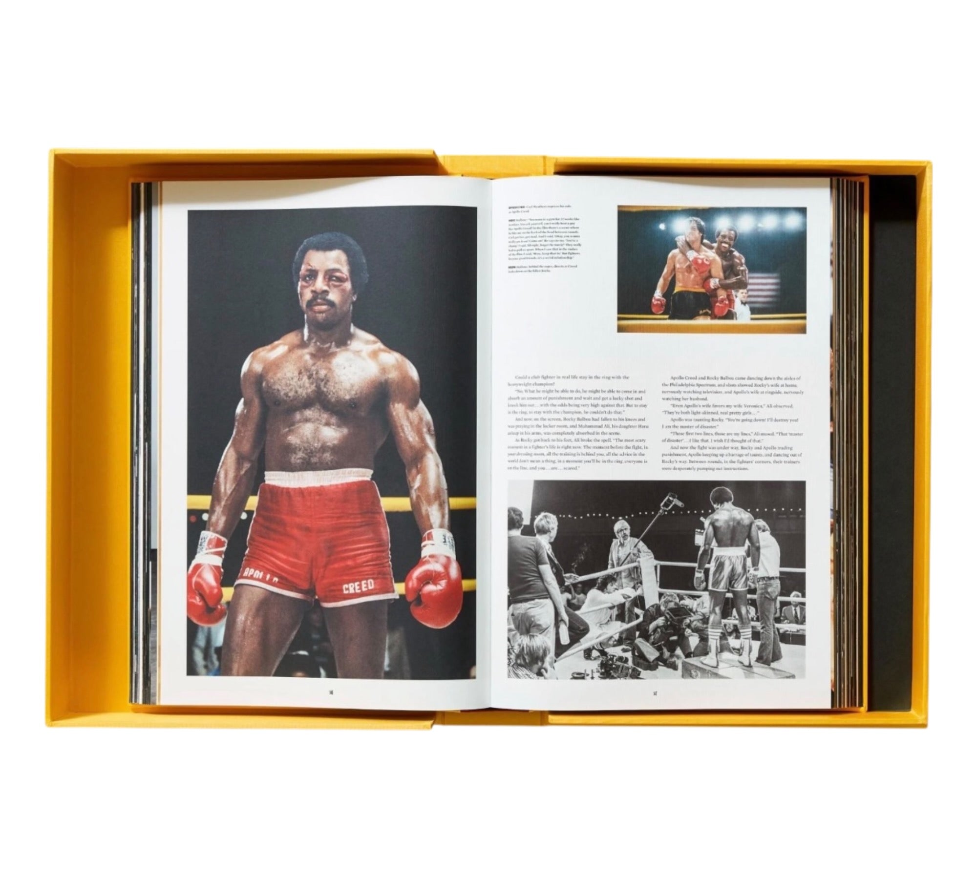 Rocky: The Complete Films - XXL Collectors edition (Trade sample)