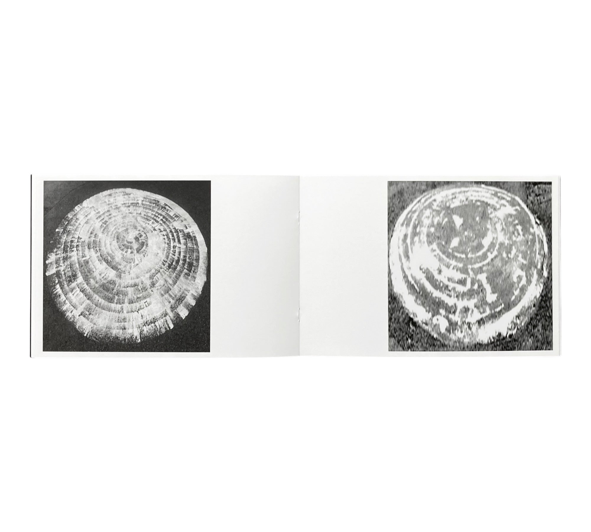 Guy Bigland: Square Photographs of White Circle Paintings