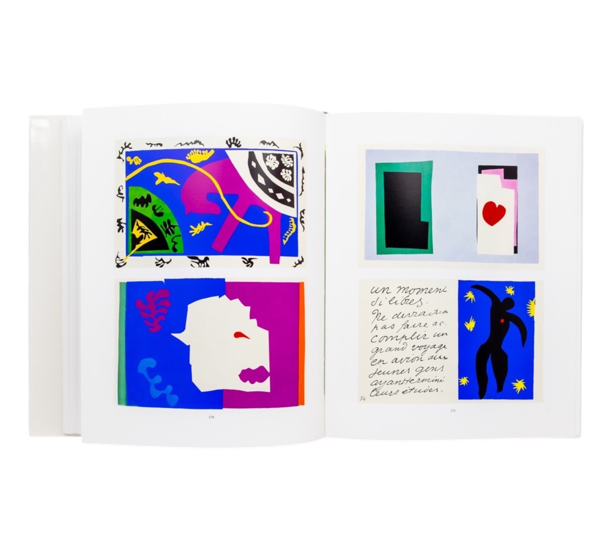 Henri Matisse: Catalogues Raisonnés - Print | Illustration | Sculpture (Set of 4 or single volumes)