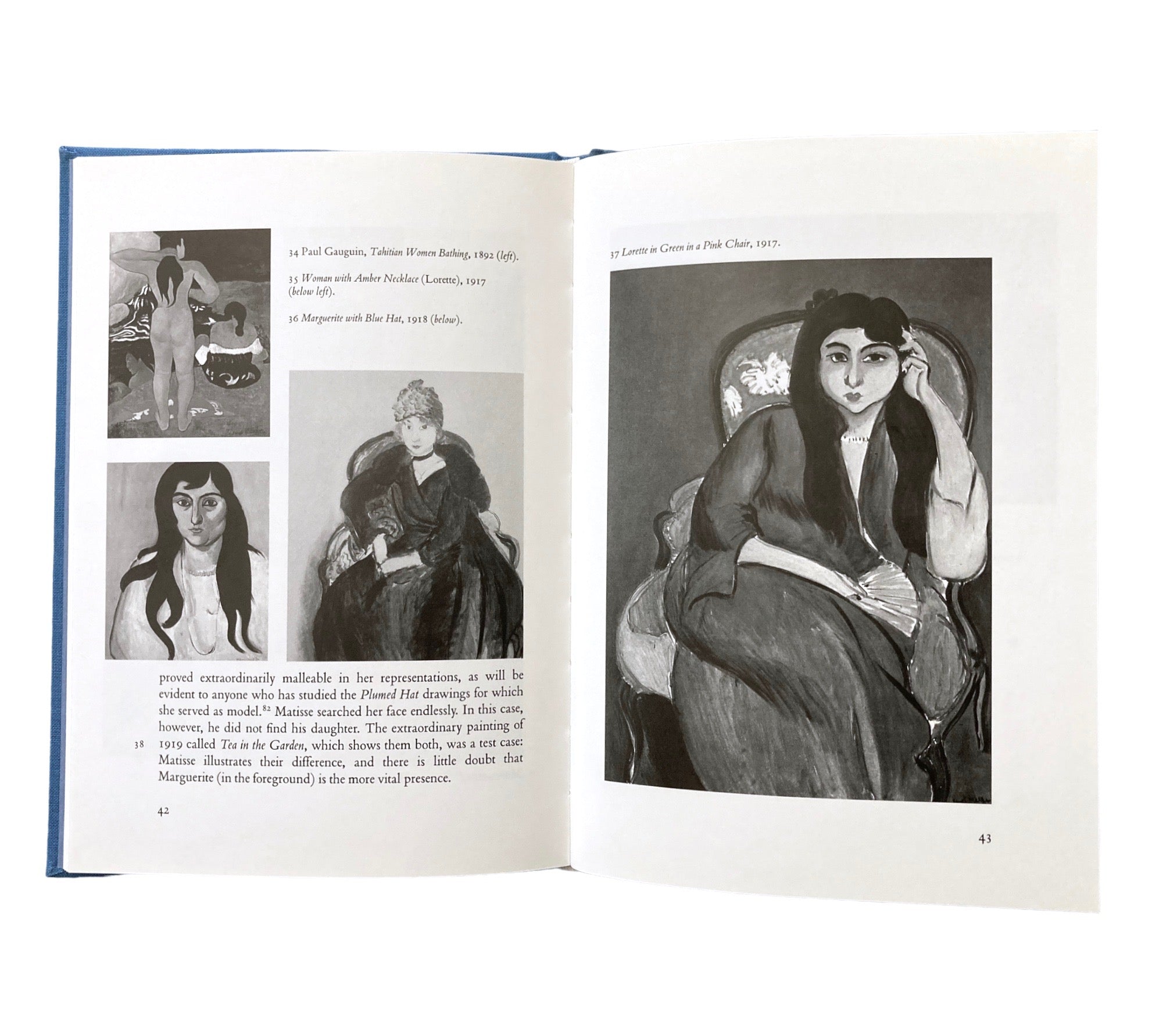 Pleasuring Painting: Matisse's Feminine Representations