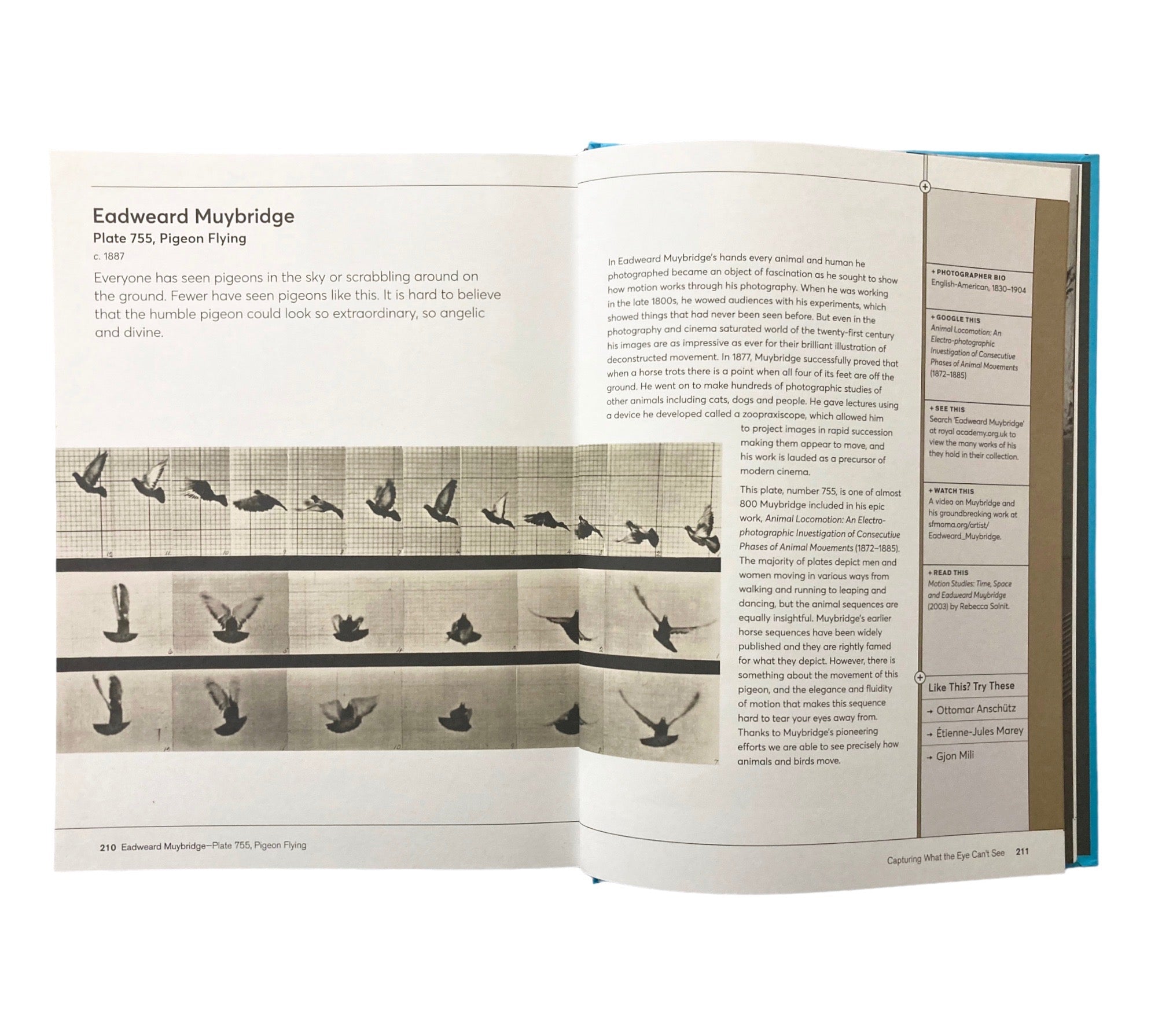 Look At This If You Love Great Photography: A critical curation of 100 essential photos