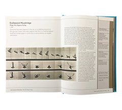 Look At This If You Love Great Photography: A critical curation of 100 essential photos