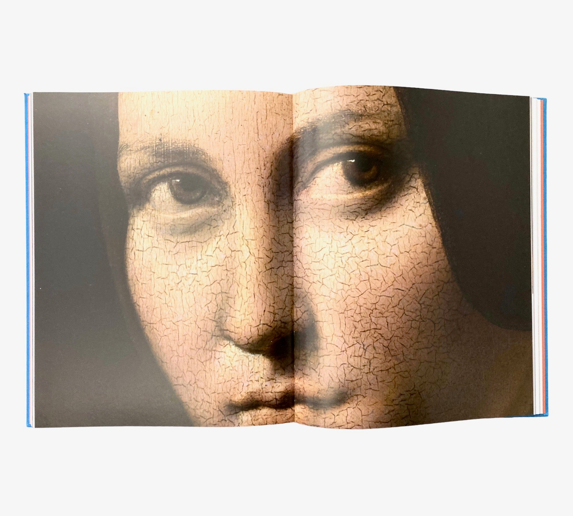 Leonardo in Detail