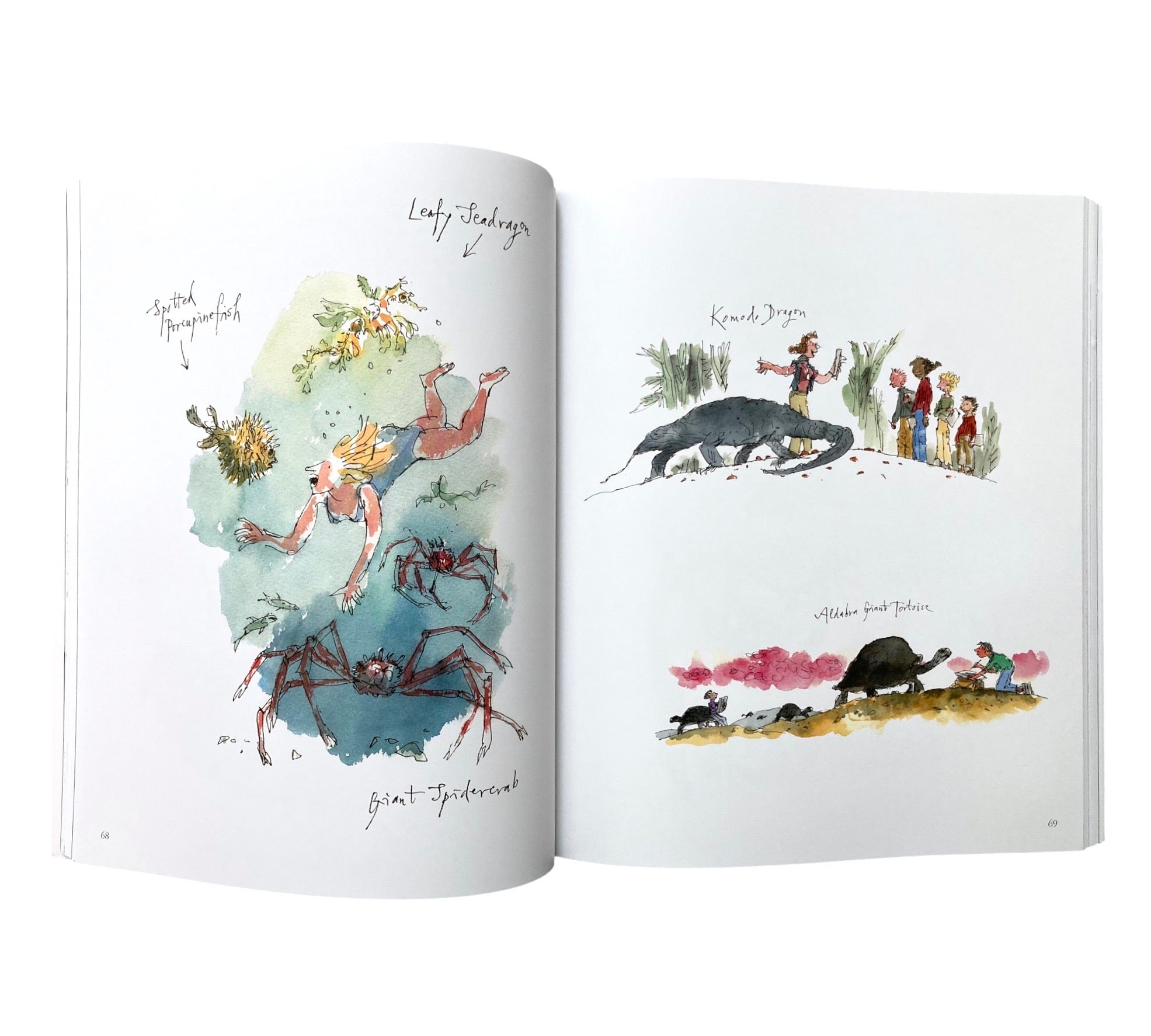 Quentin Blake: Pens Ink & Places